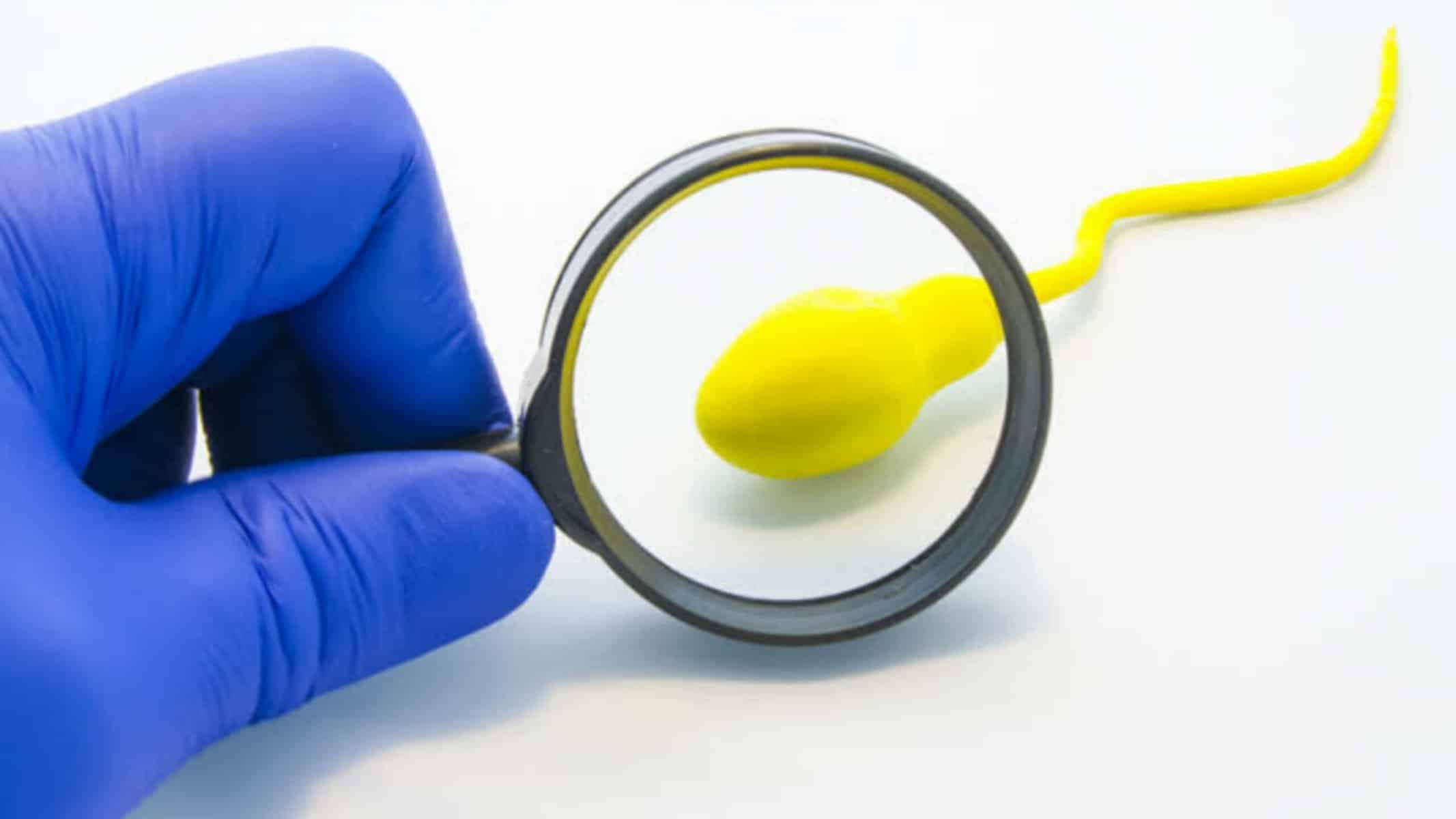 Picsart_22-07-18_15-47-10-929 Imagem Ilustrativa