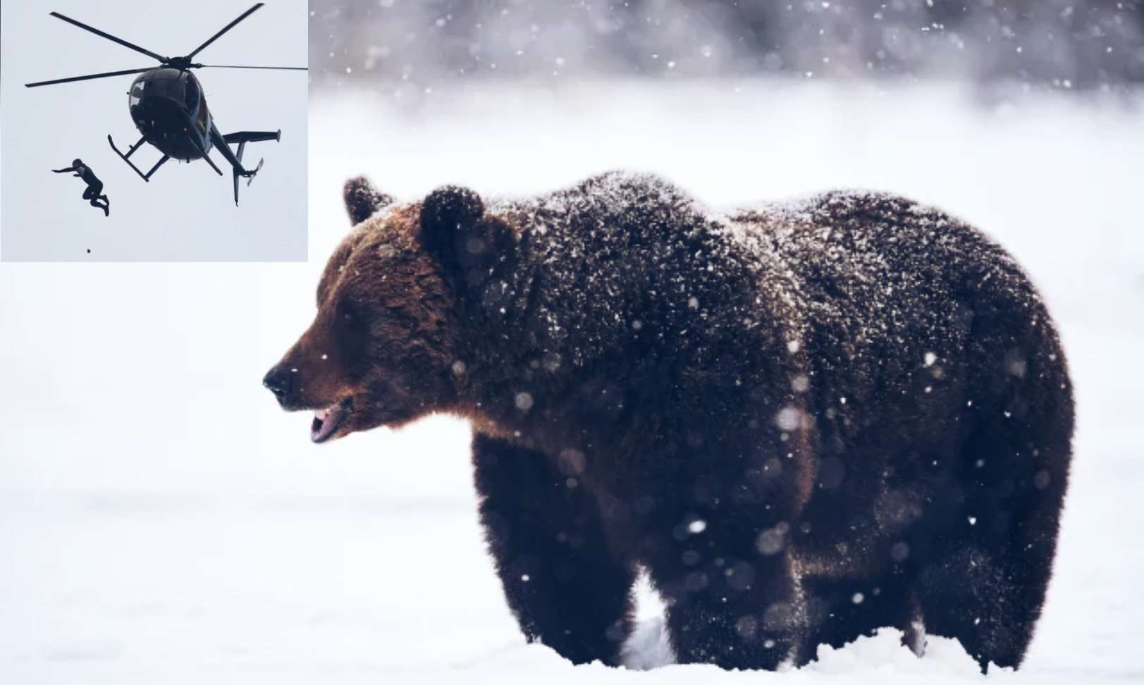 Picsart_22-07-21_13-20-31-766