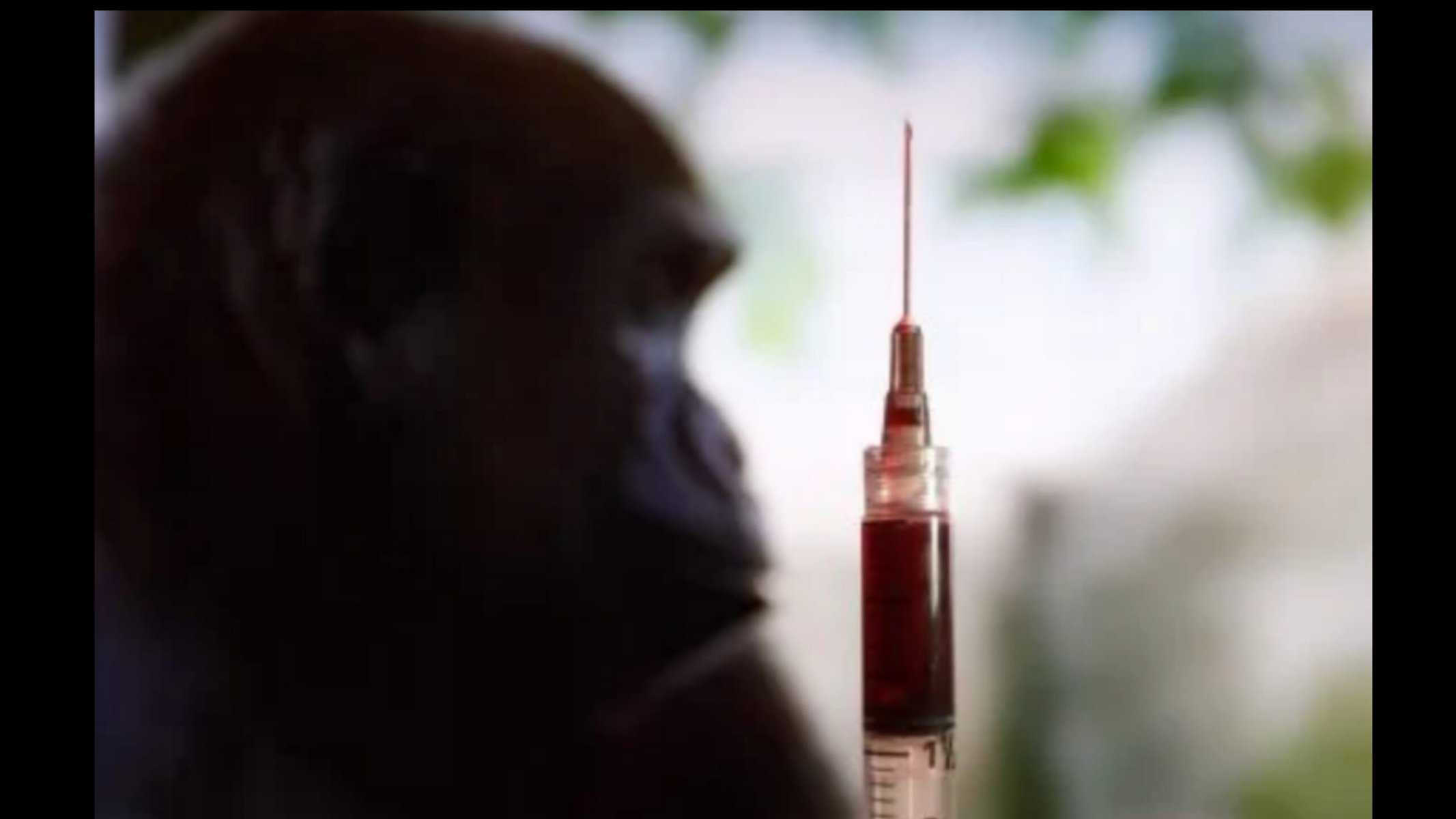 Picsart_22-07-26_10-17-07-767 Picsart_22-07-26_10-17-07-767