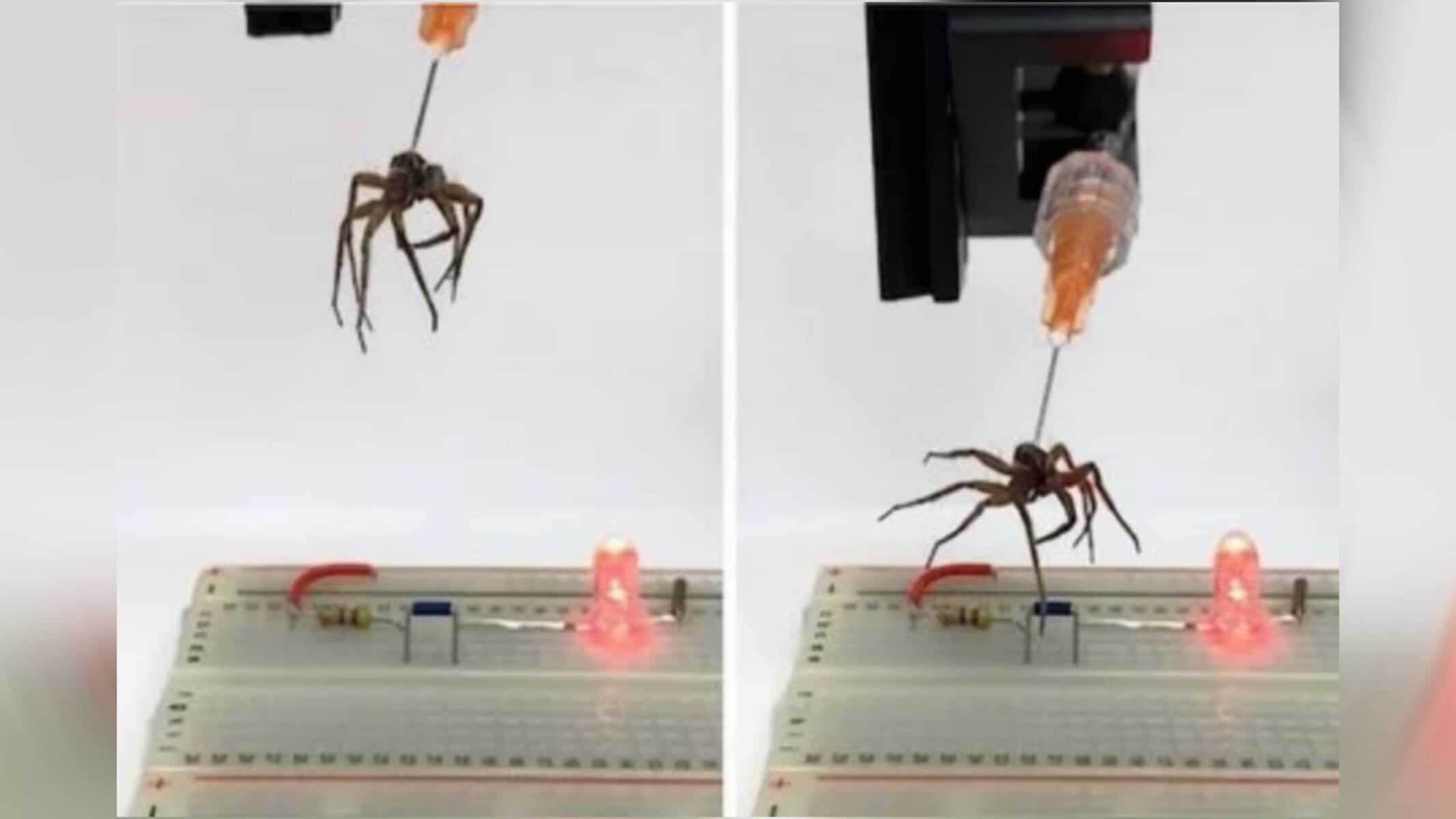 Picsart_22-07-26_20-42-27-346 Preston Innovation Laboratory/Rice University/Divulgação