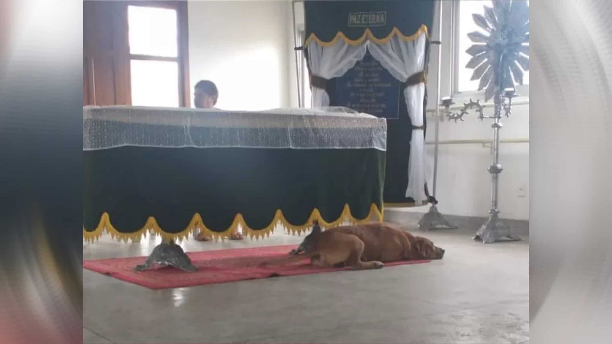 Picsart_22-07-26_21-32-03-396 Cachorro acompanhou todo o velório ao lado do caixão do tutor — Foto: Divulgação/Arquivo Pessoal