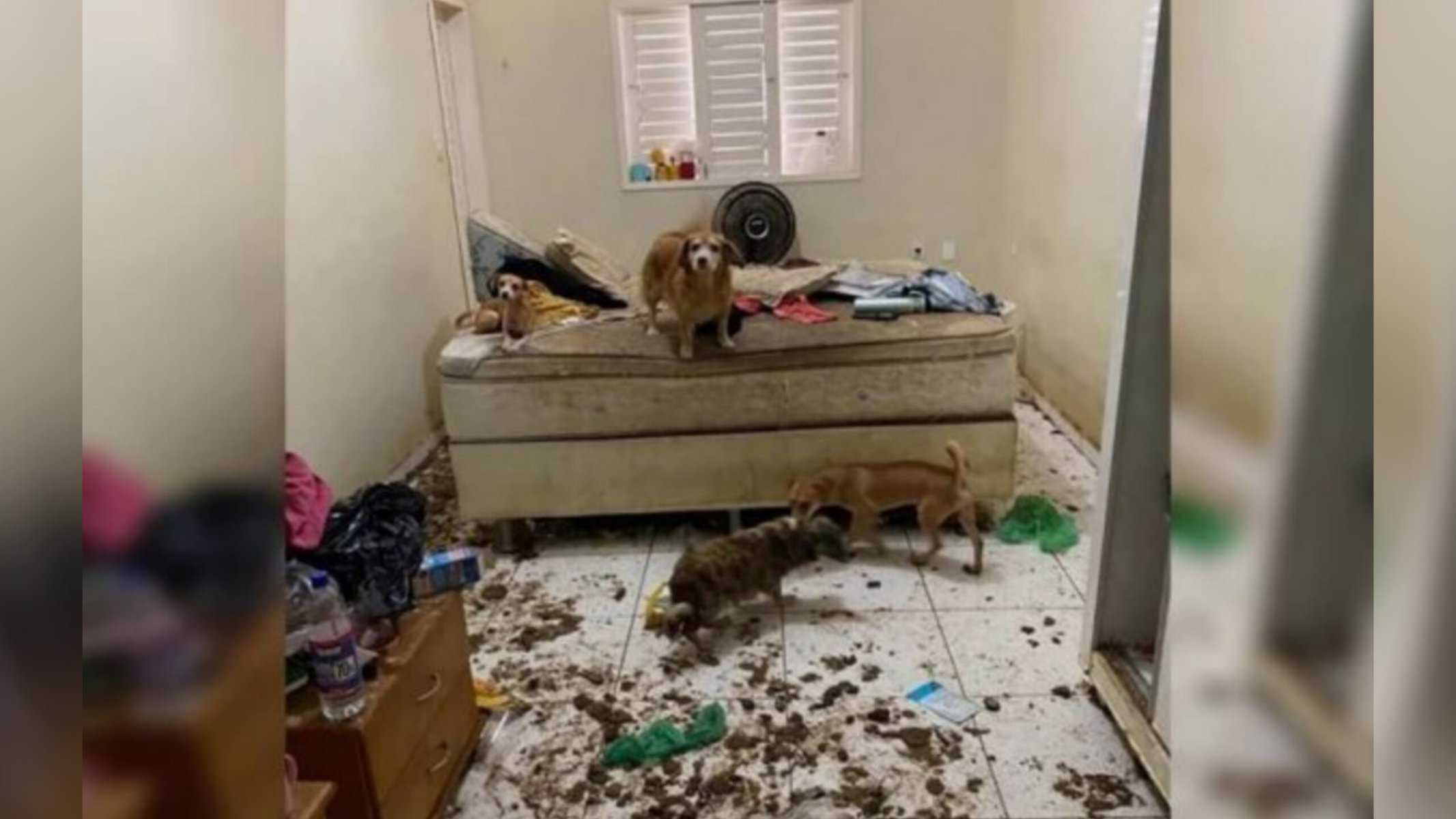 Picsart_22-07-27_20-40-34-413 Imagem Divulgação