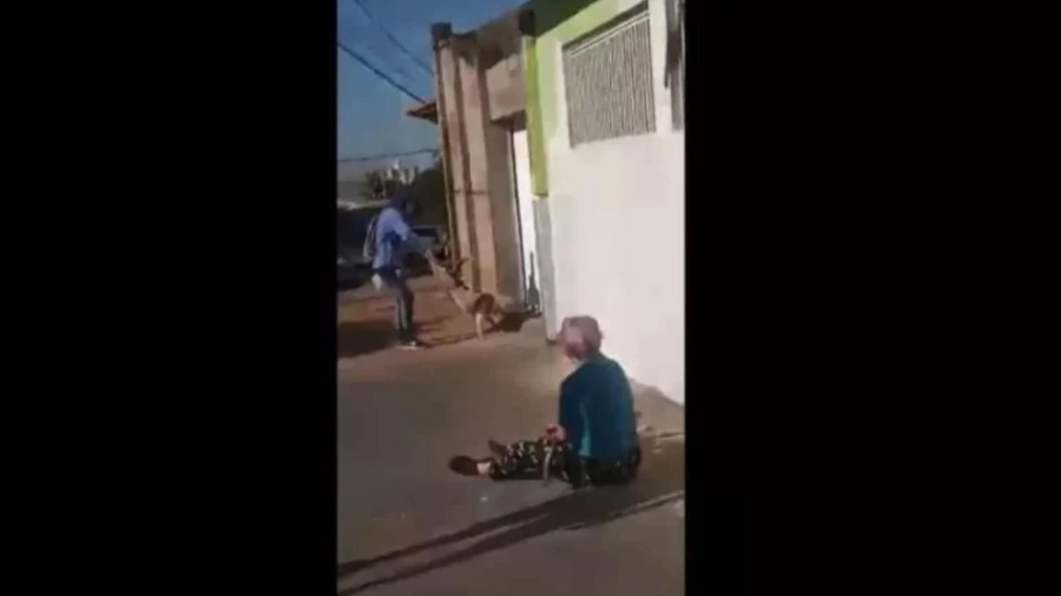 Picsart_22-07-28_15-19-20-480 (crédito: Reprodução/Redes sociais)