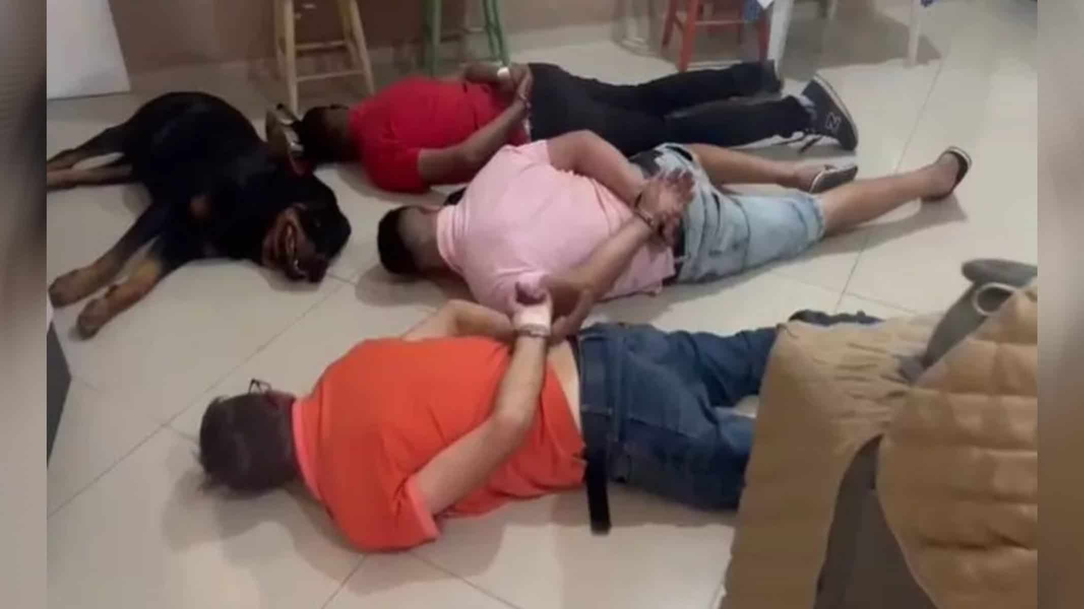 Picsart_22-07-28_20-02-28-964 Cachorro "se rendeu" ao lado dos donos, presos por suspeita de tráfico — Foto: Polícia Civil