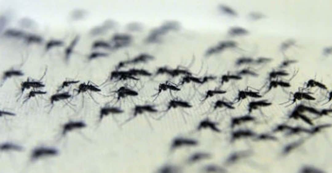 Screenshot_20220714-103106_Facebook Screenshot_20220714-103106_Facebook