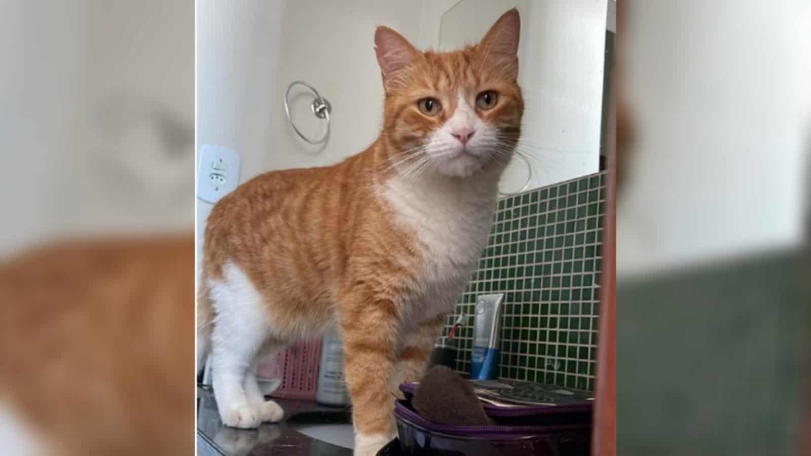 WhatsApp Image 2022-07-31 at 13.46.04 WhatsApp Image 2022-07-31 at 13.46.04