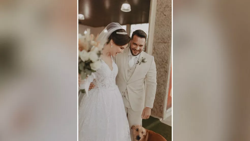 cachorro-casamento-06-07-2022.mov-snapshot-02.18.319