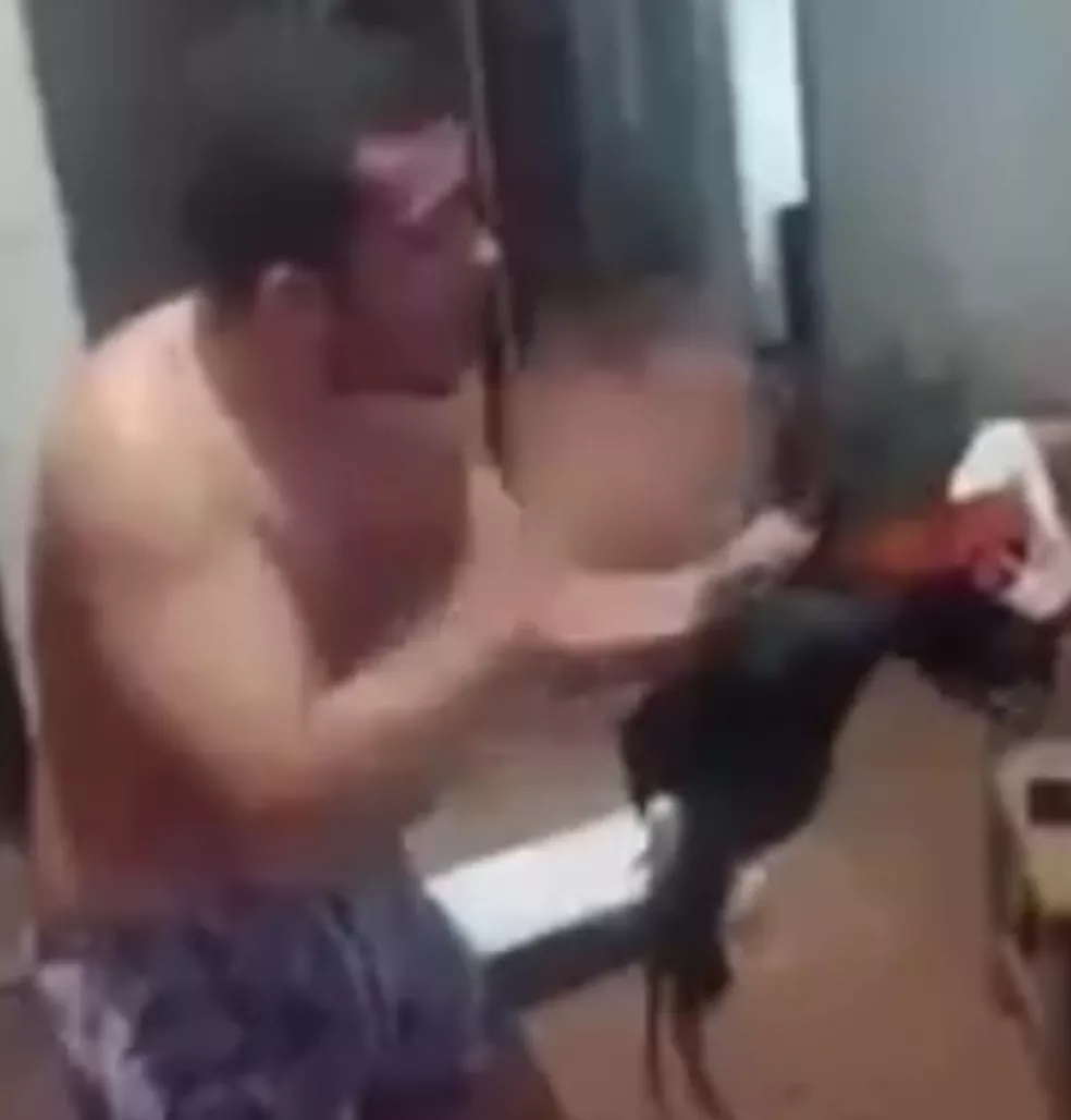 whatsapp-image-2022-07-15-at-12.32.41 Torcedor do Flamengo que gravou vídeo batendo em galo após time derrotar Atlético-MG é denunciado por ONG no AC — Foto: Reprodução