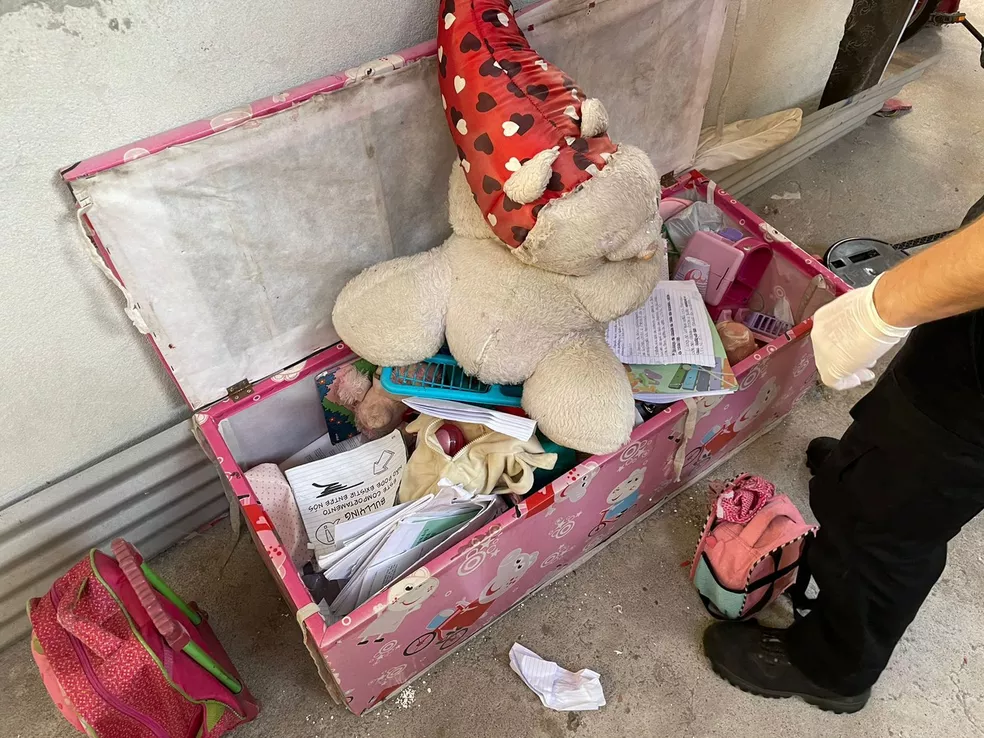 whatsapp-image-2022-07-20-at-10.53.51 Material encontrado pela Polícia Civil com mulher presa suspeita de abusar sexualmente da sobrinha de 9 anos e filmar crime — Foto: Polícia Civil/Divulgação