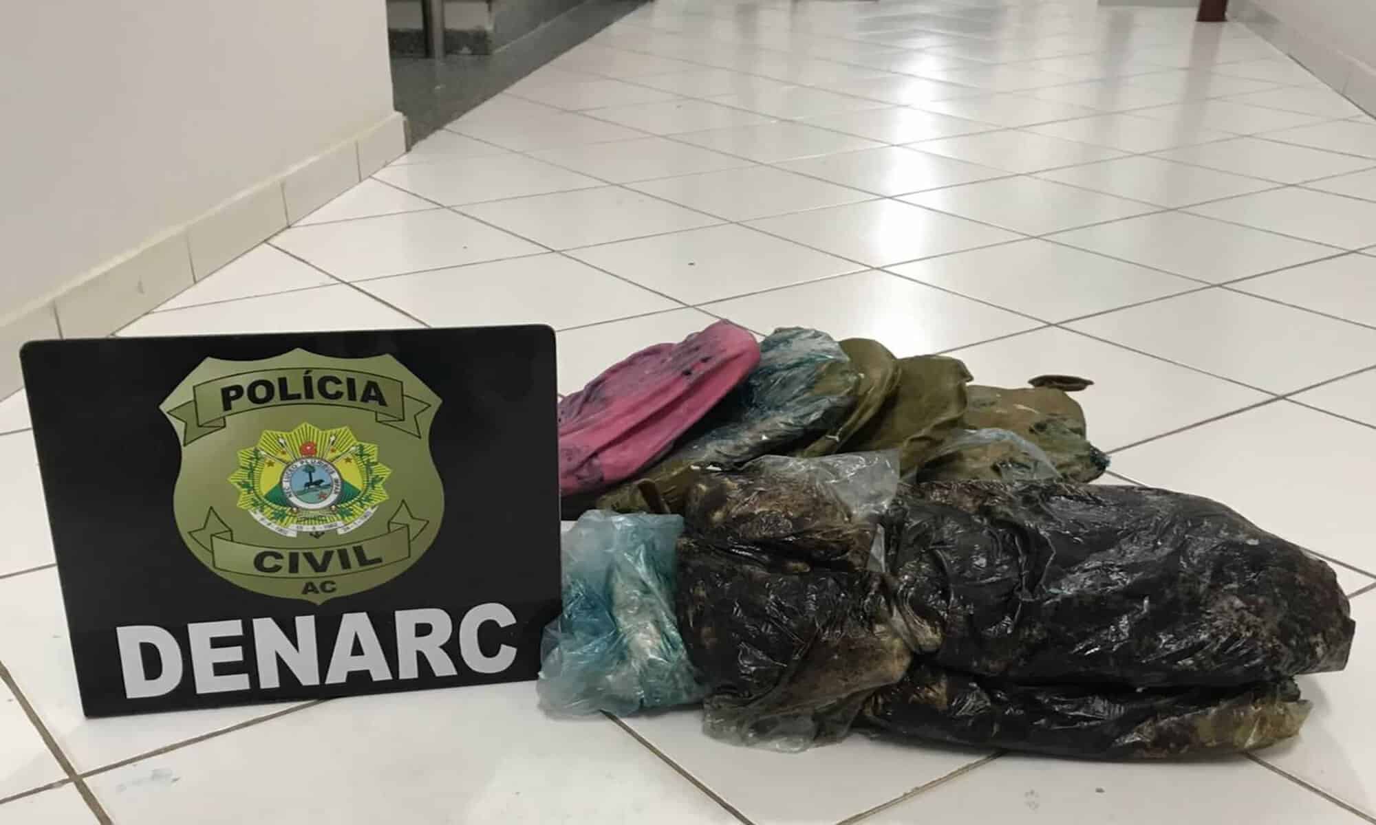 17 Ao identificar a propriedade da droga, o casal recebeu voz de prisão pela equipe da Denarc. Foto: cedida