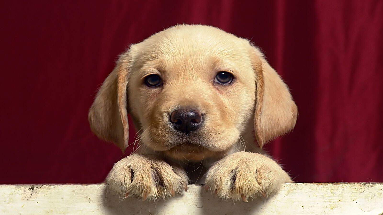 43f8bc4e-f259-4df3-90f2-8a3fff371ba7 43f8bc4e-f259-4df3-90f2-8a3fff371ba7