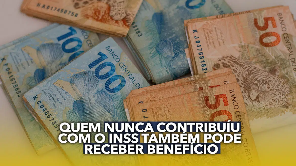 Oportunidade para pessoas que precisam de valores – Imagem: @jeanedeoliveirafotografia/pronatec.pro.br