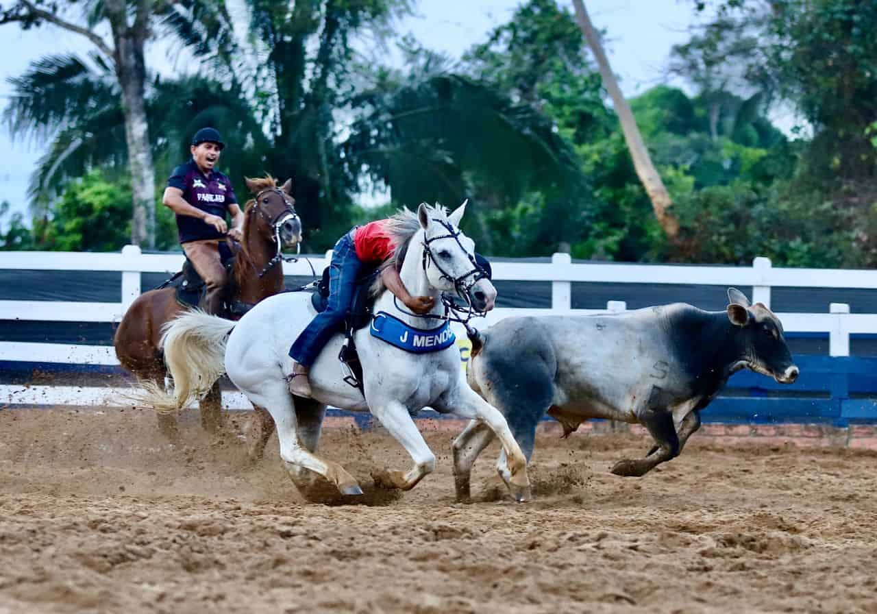 IMG-20220806-WA0096 IMG-20220806-WA0096