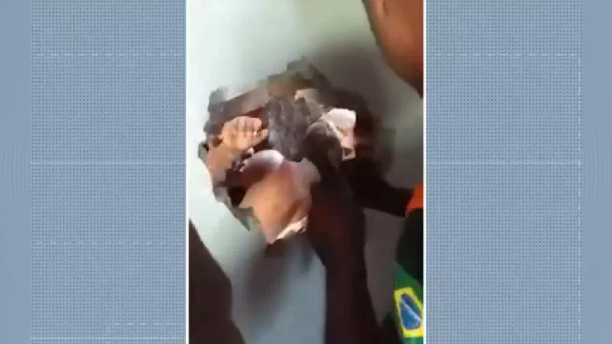 Criança fica com presa ao tentar passar em vão entre imóveis no Bairro da Paz — Foto: Reprodução/TV Bahia