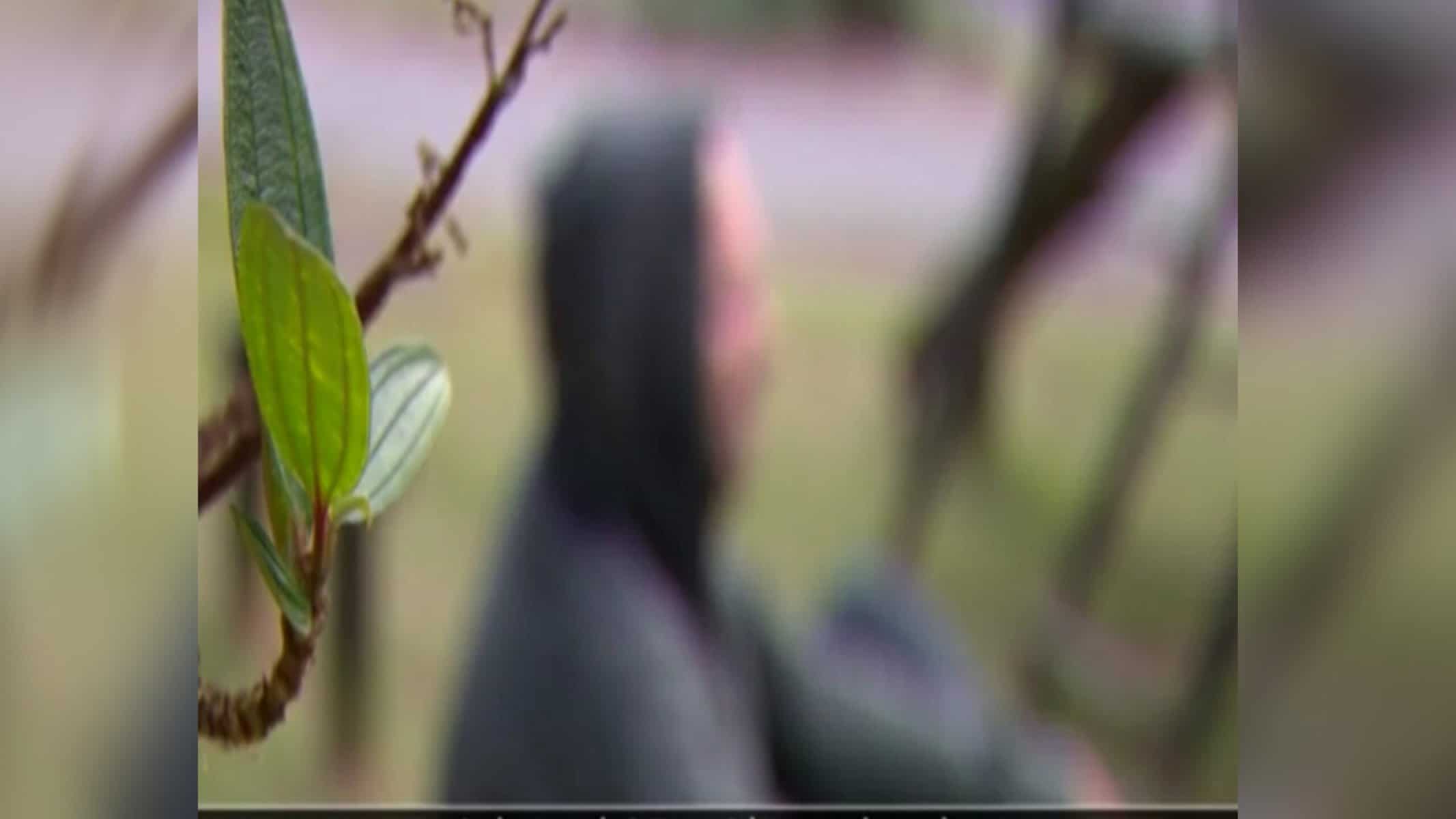 Vítimas denunciam treinador de vôlei por estupro em SC
