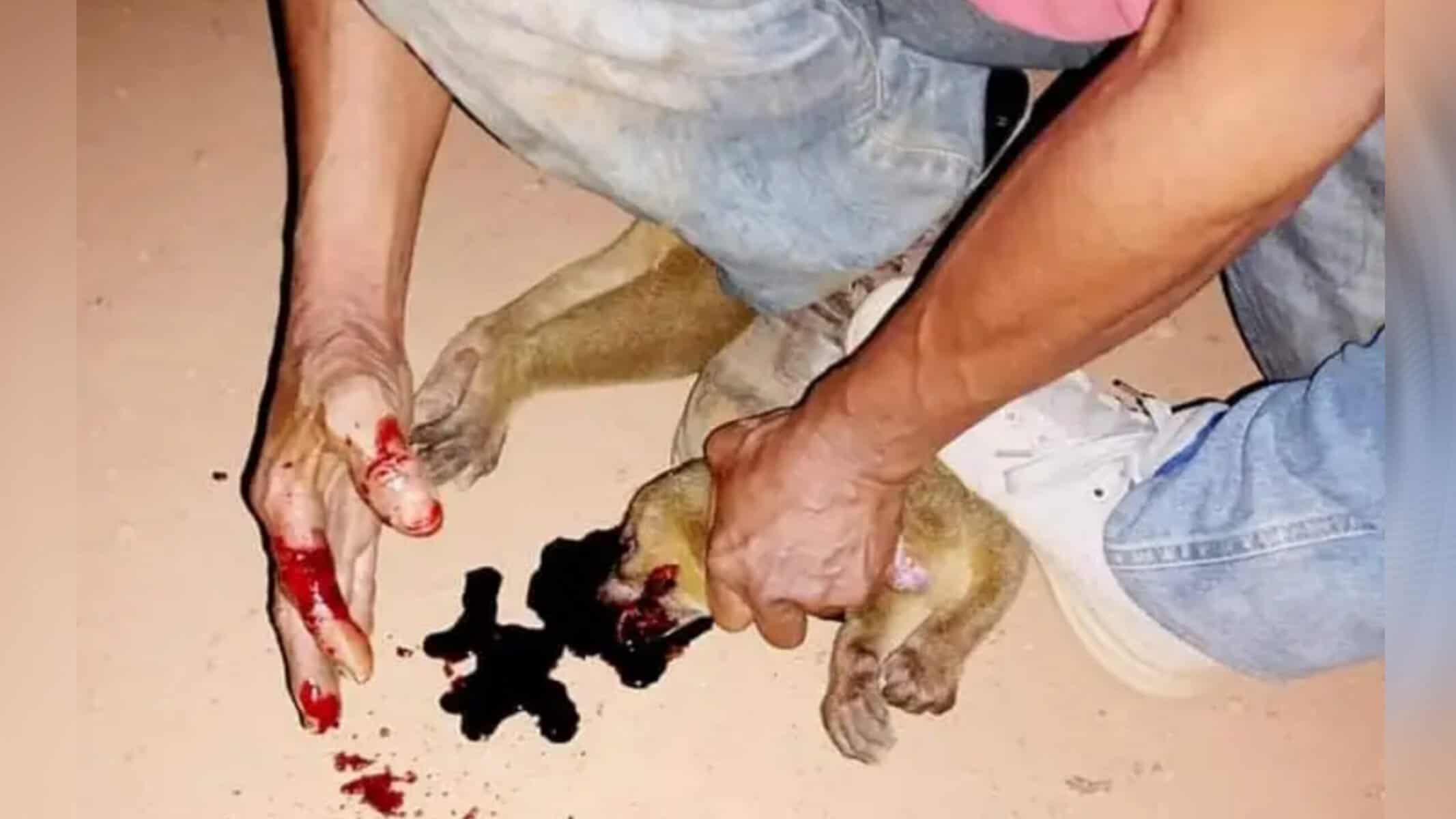 Picsart_22-08-06_20-06-27-162 Foto: O Alto Acre