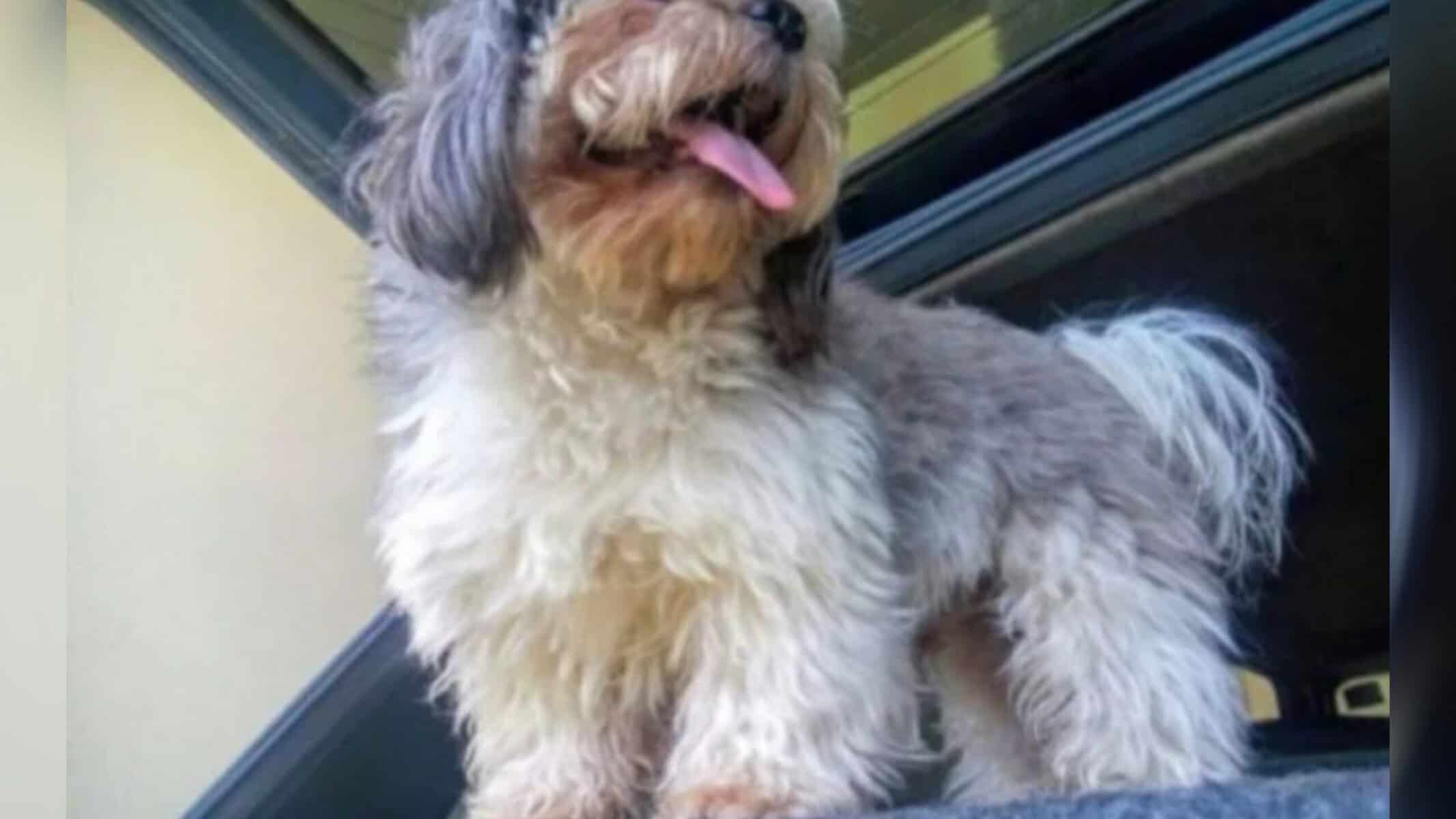 Picsart_22-08-08_20-32-40-144 Foto reprodução