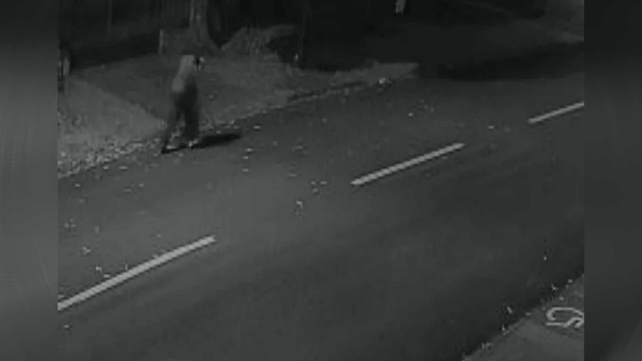 Picsart_22-08-09_20-59-04-542 Caso aconteceu no bairro Coqueiral — Foto: Guarda Municipal de Cascavel