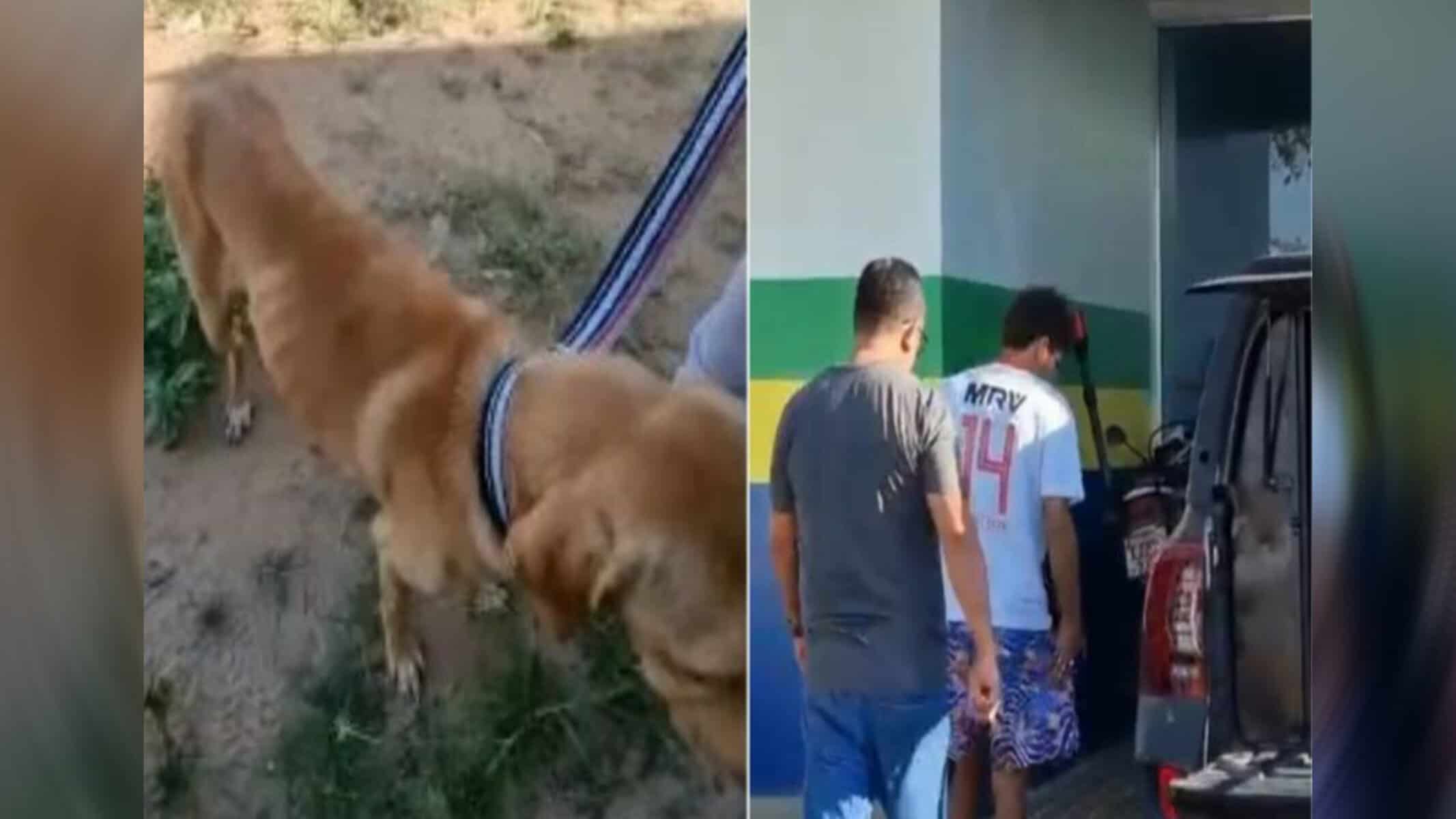 Picsart_22-08-10_16-02-58-525 (Foto: Montagem D24am / Reprodução)