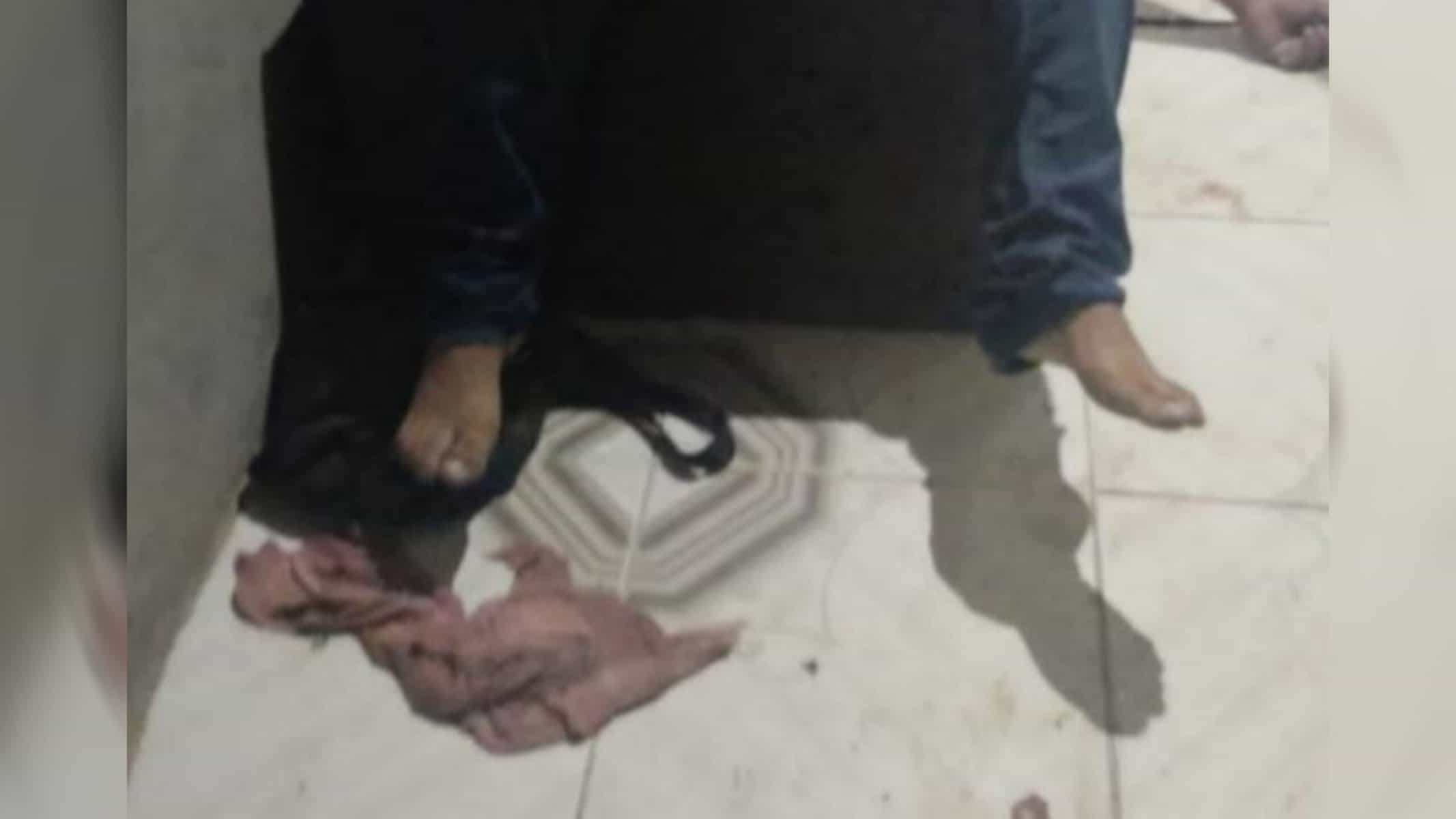 Picsart_22-08-16_15-49-05-355 Foto reprodução