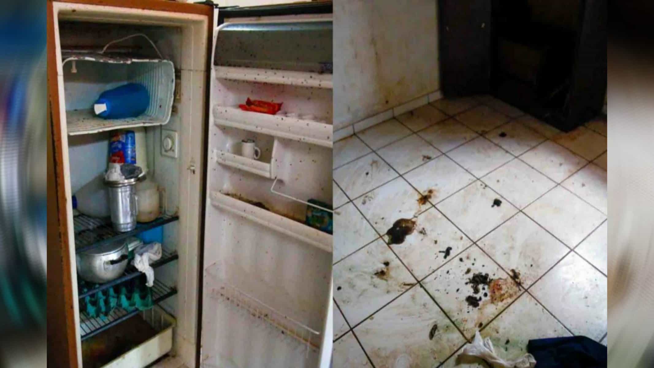 Idosa vive em condições precárias. (Fotos: Nathália Alcântara / Midiamax)