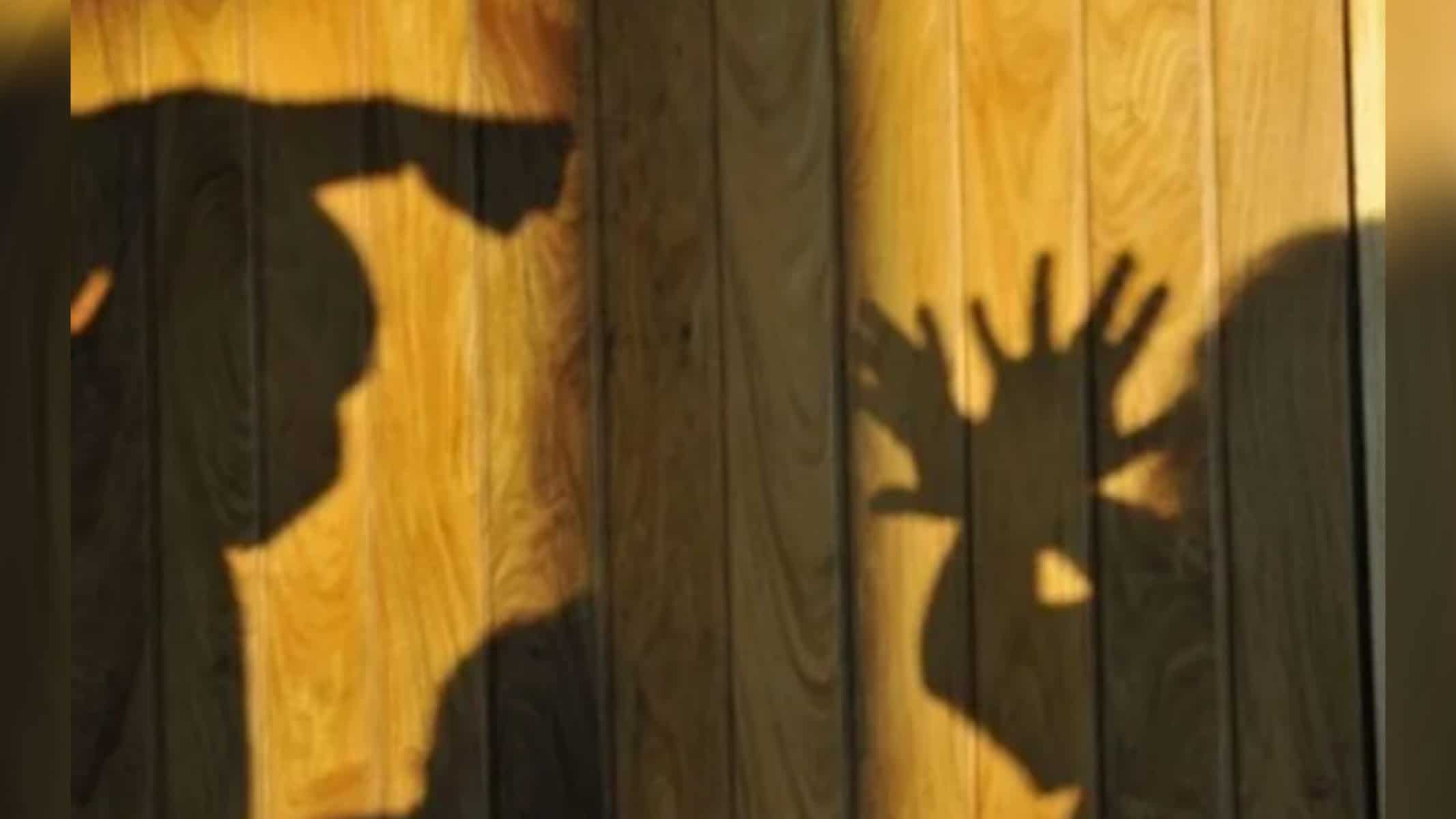 Picsart_22-08-17_19-52-50-990 Imagem Ilustrativa