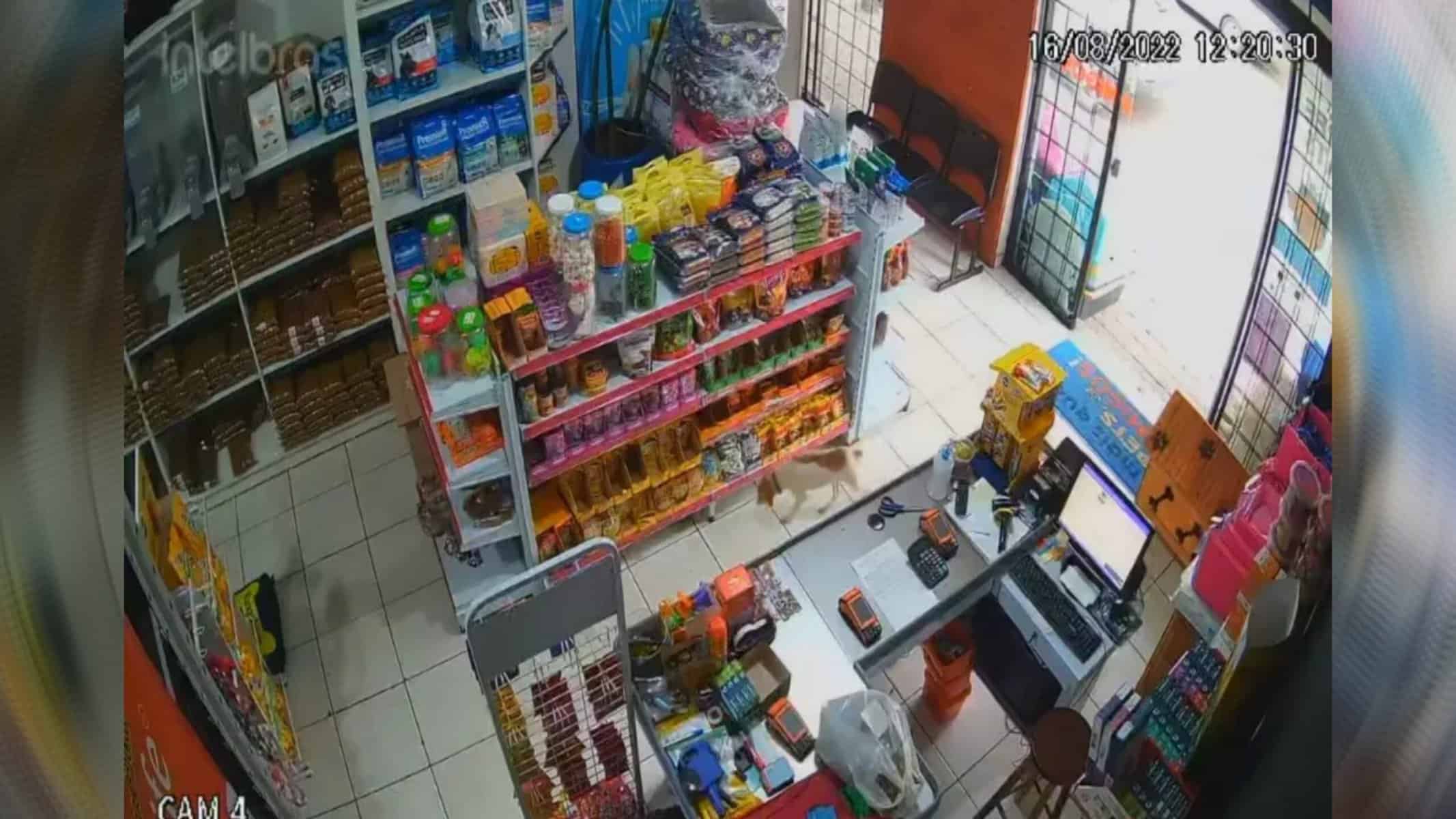 Picsart_22-08-17_20-14-11-645 Foto Reprodução