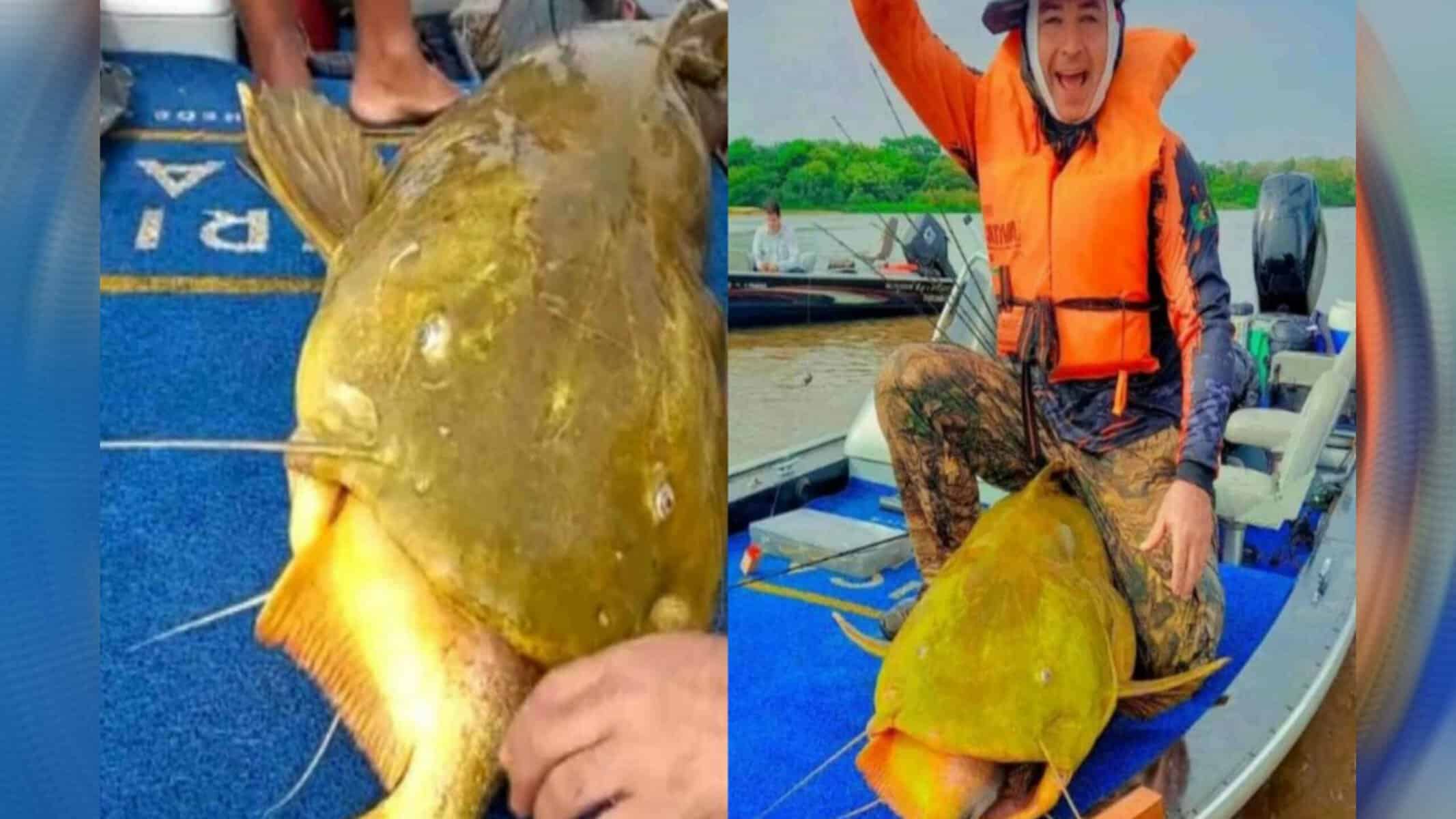 Picsart_22-08-30_21-02-03-005 Animal foi solto no rio após os registros (Foto: Arquivo Pessoal)