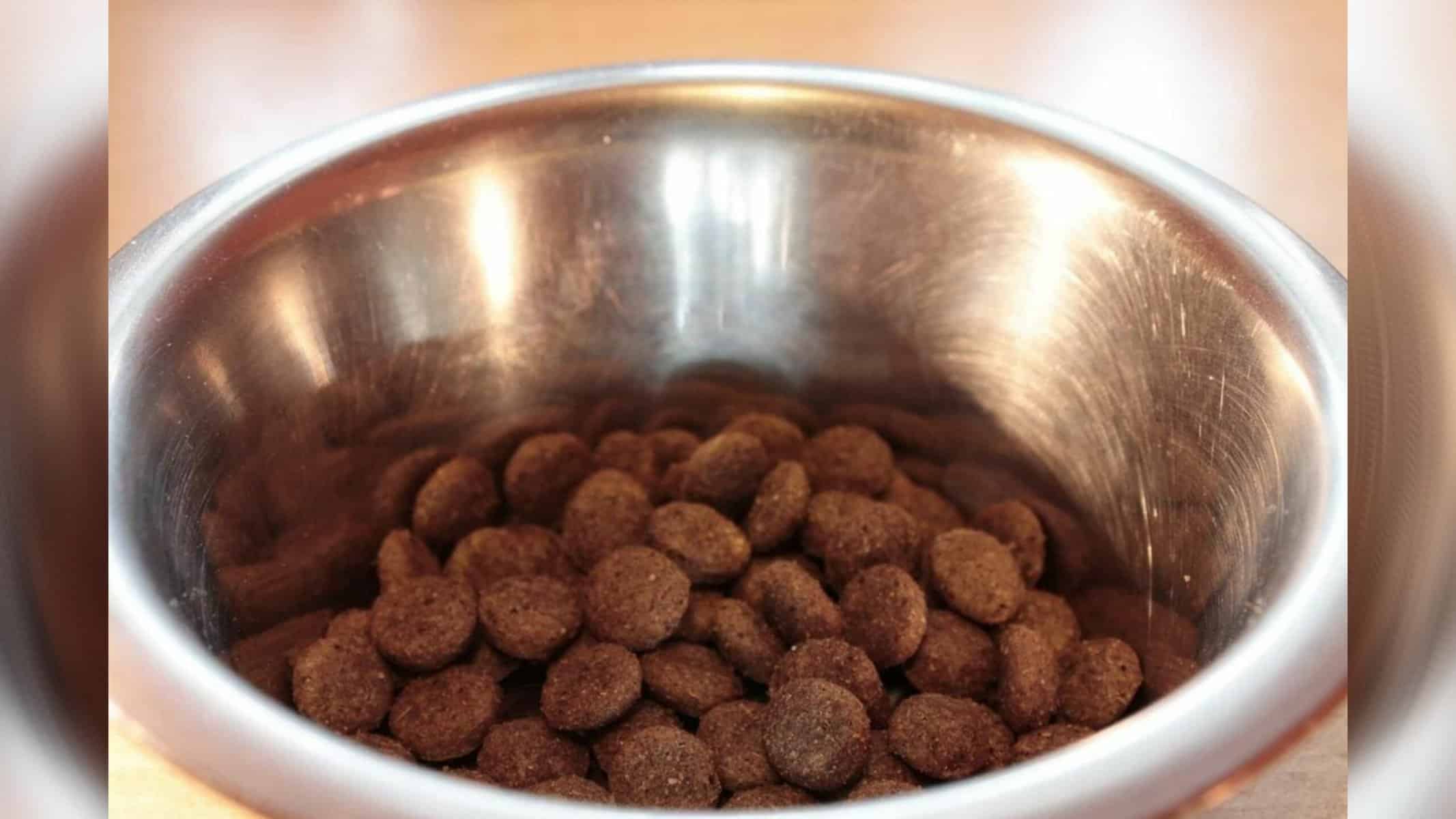 Picsart_22-08-31_20-17-40-812 Suspeito ficou nervoso pelo fato de ração não ser colocada para animal — Foto: Imagem ilustrativa - Reprodução / Pixabay
