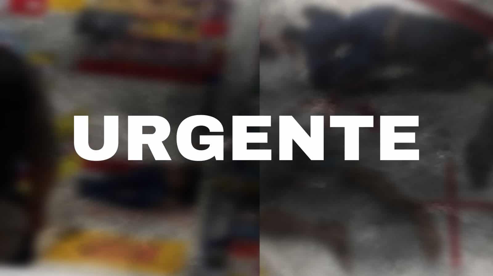 WhatsApp Image 2022-08-01 at 20.06.24