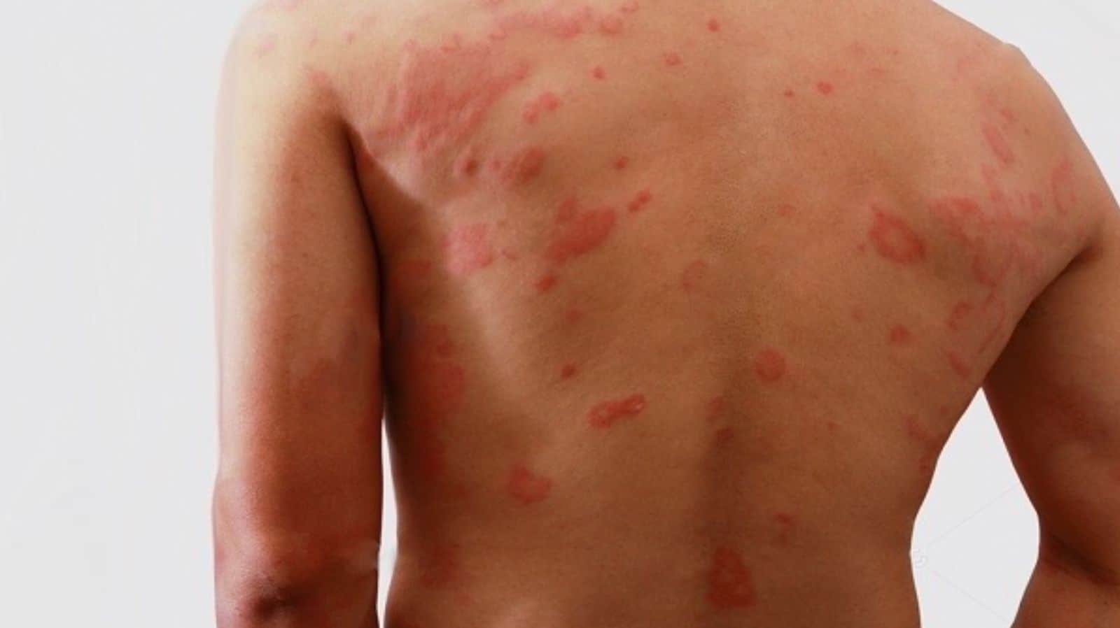 WhatsApp Image 2022-08-03 at 19.49.50