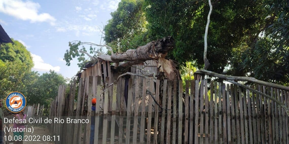 WhatsApp-Image-2022-08-10-at-08.46.27-1140×570 Foto: Assessoria/Defesa Civil