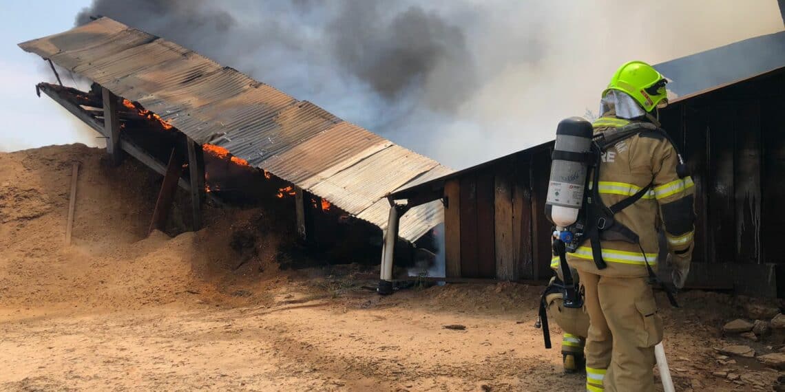 WhatsApp-Image-2022-08-22-at-11.32.57-1-1140×570 WhatsApp-Image-2022-08-22-at-11.32.57-1-1140x570