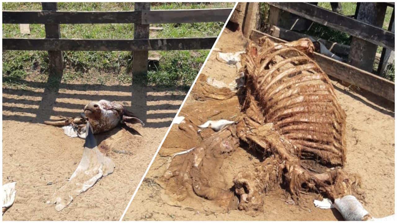 WhatsApp Image 2022-08-24 at 21.03.34