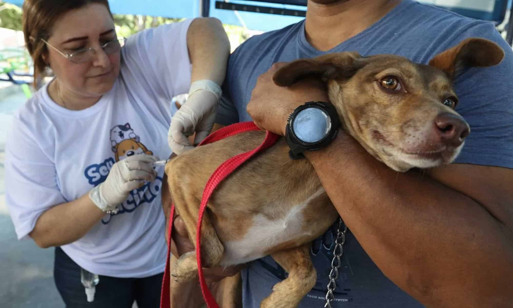 01 Foto: Tânia Rêgo/Agência Brasil