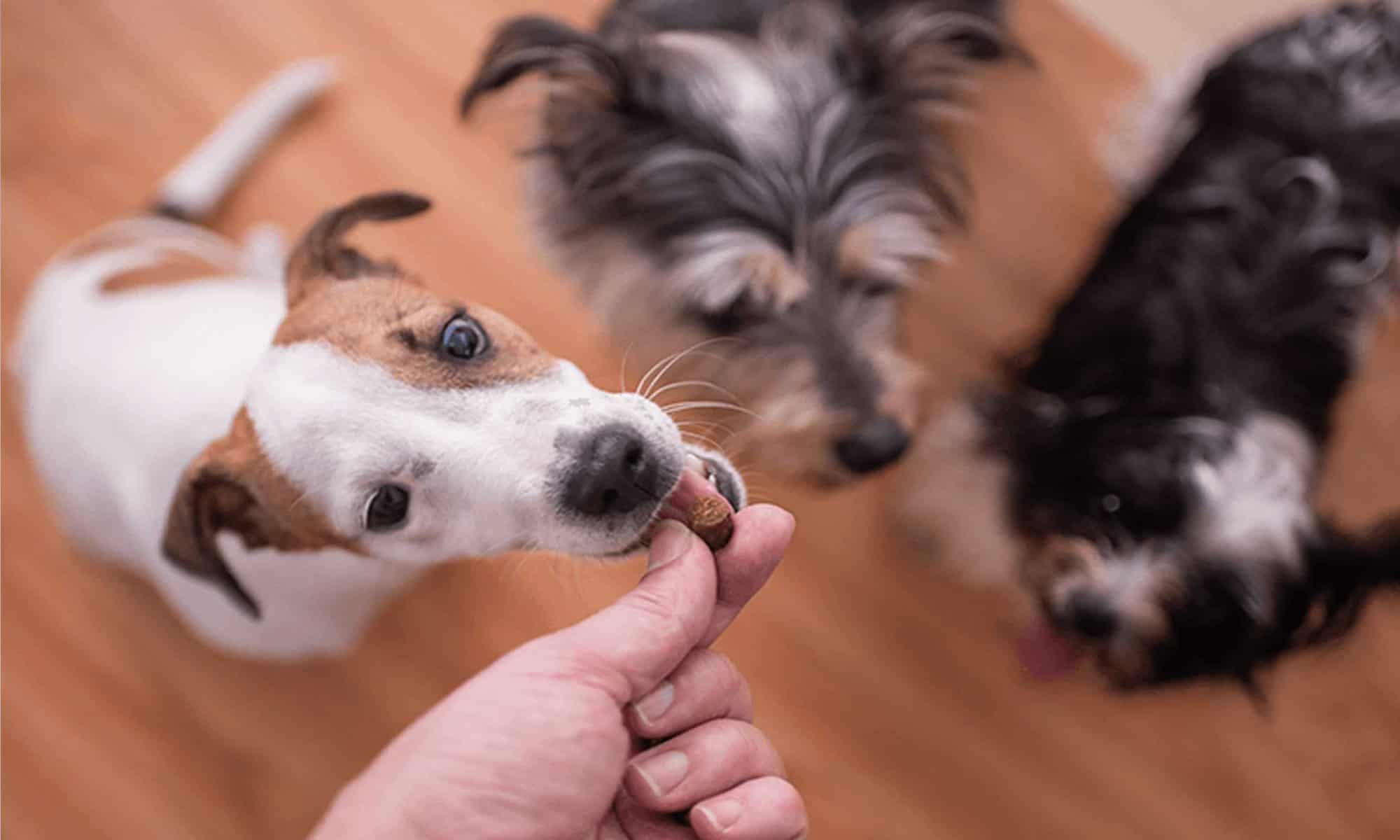 02 Foto: reprodução