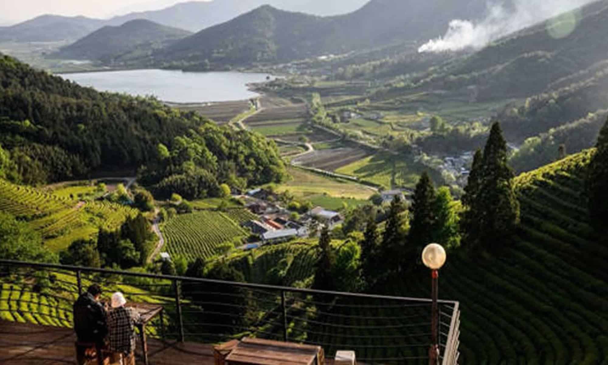 08 Foto: reprodução