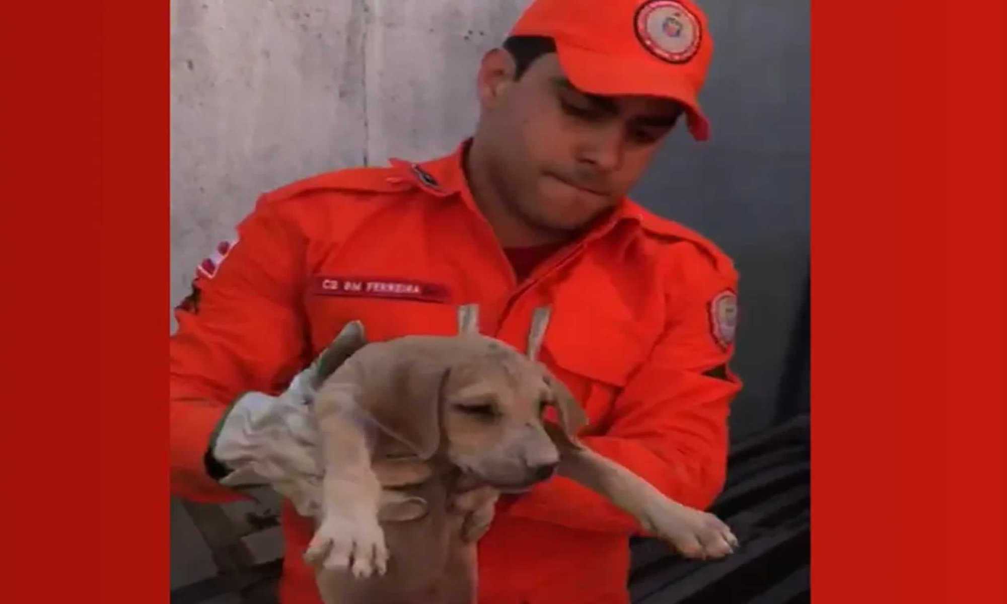 23 Resgate aconteceu em Juazeiro — Foto: Corpo de Bombeiros