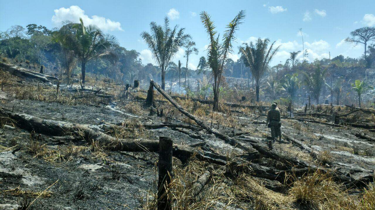 IMG-20160806-WA0065 IMG-20160806-WA0065