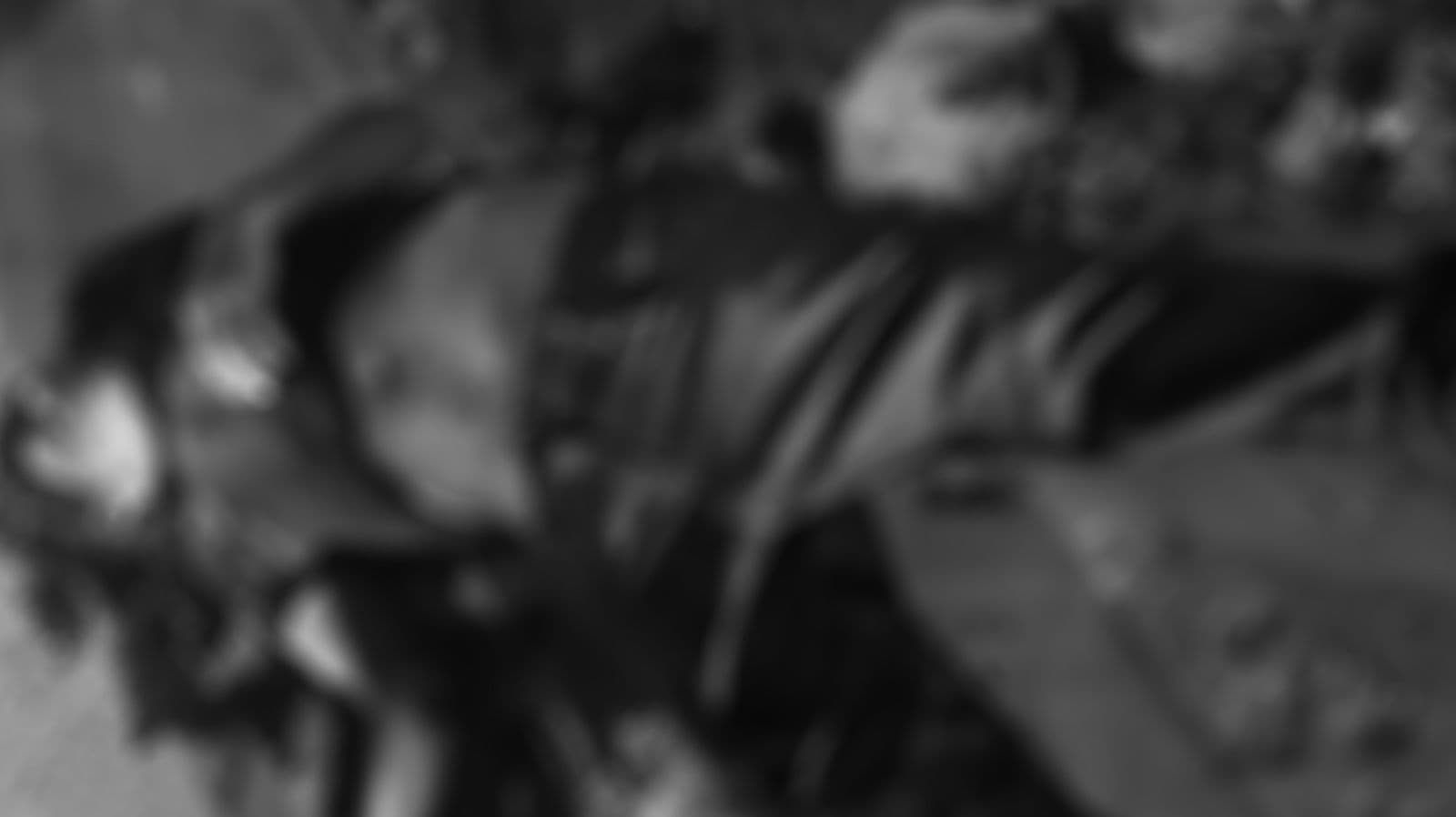 IMG-20220904-WA0051 Foto: Reprodução