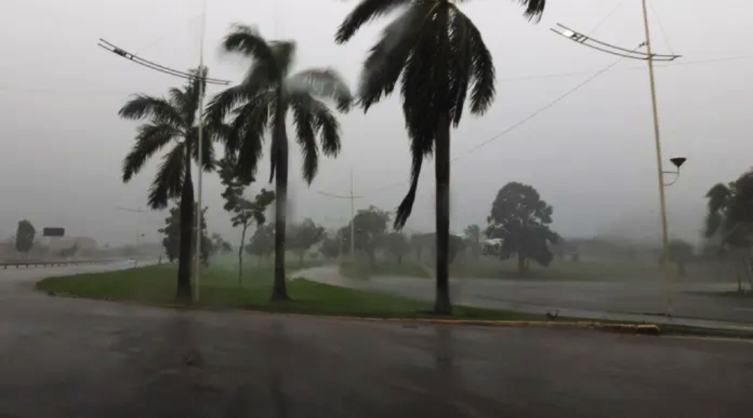 Novo-Projeto10-2 Novo-Projeto10-2