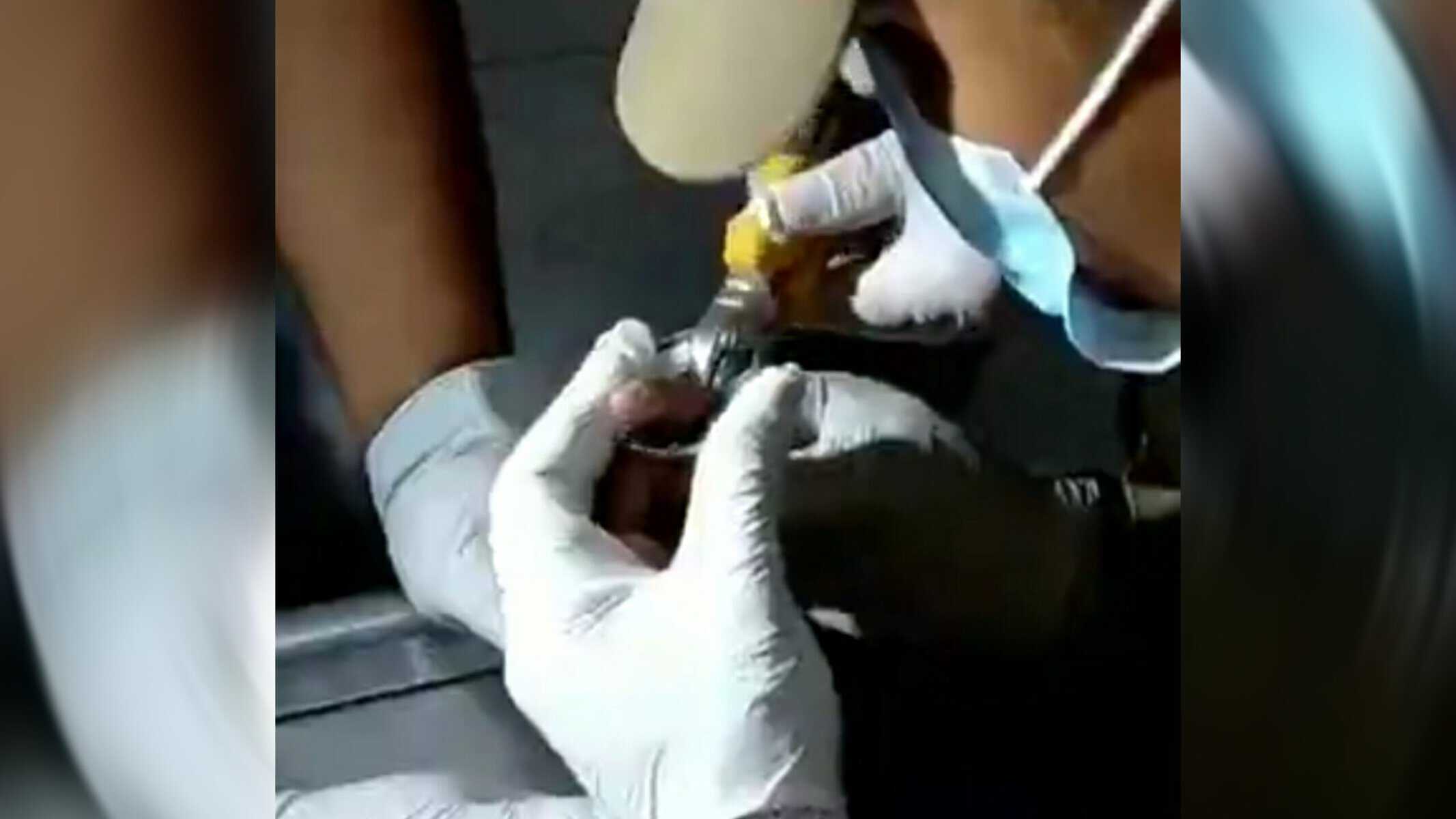 Picsart_22-09-01_15-38-23-946 Imagem: vídeo Reprodução