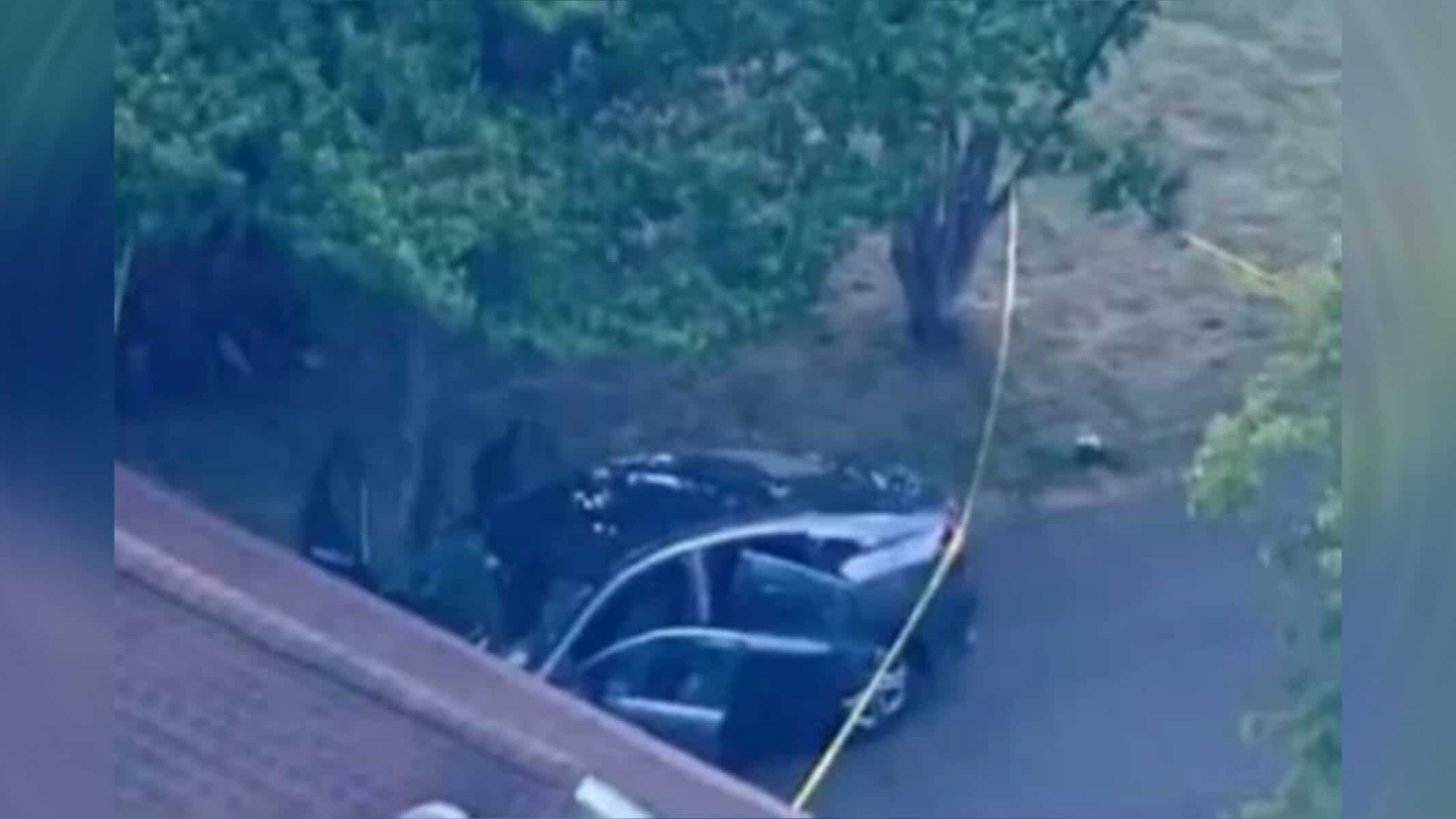 Picsart_22-09-01_17-38-40-104 Reprodução