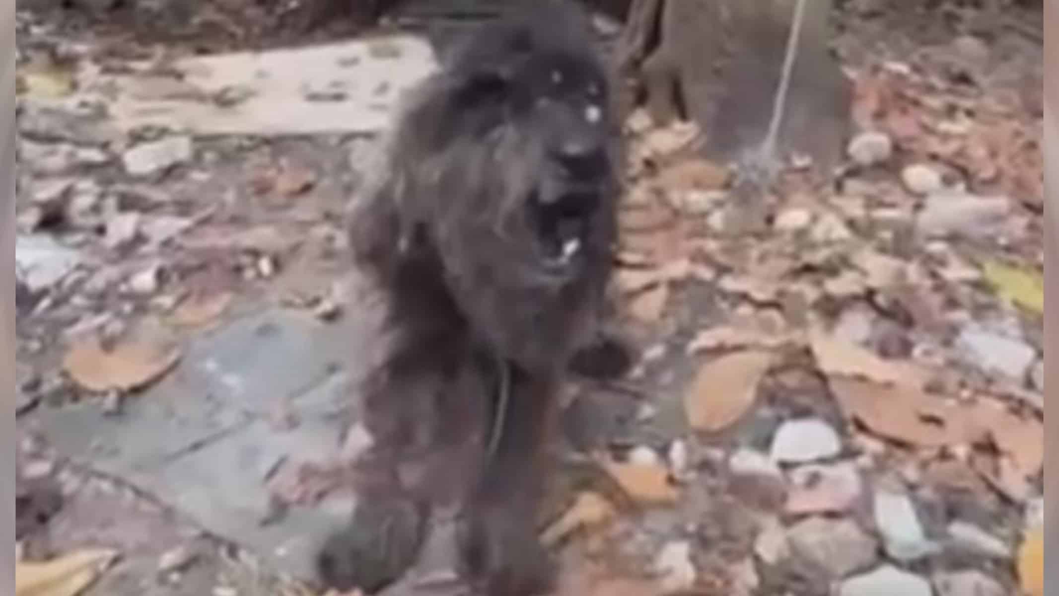 Picsart_22-09-02_17-48-32-964 (Foto: Reprodução)