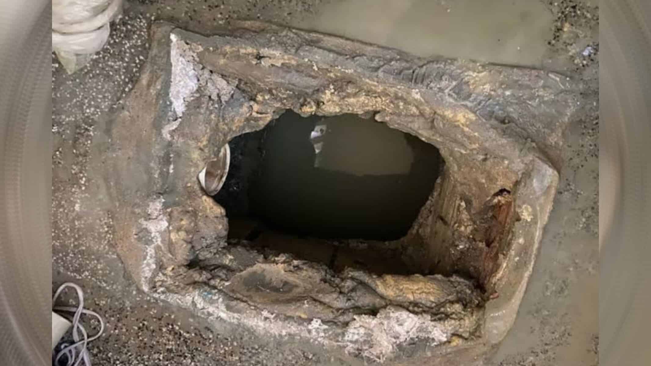 Picsart_22-09-05_15-44-34-487 Foto: Divulgação