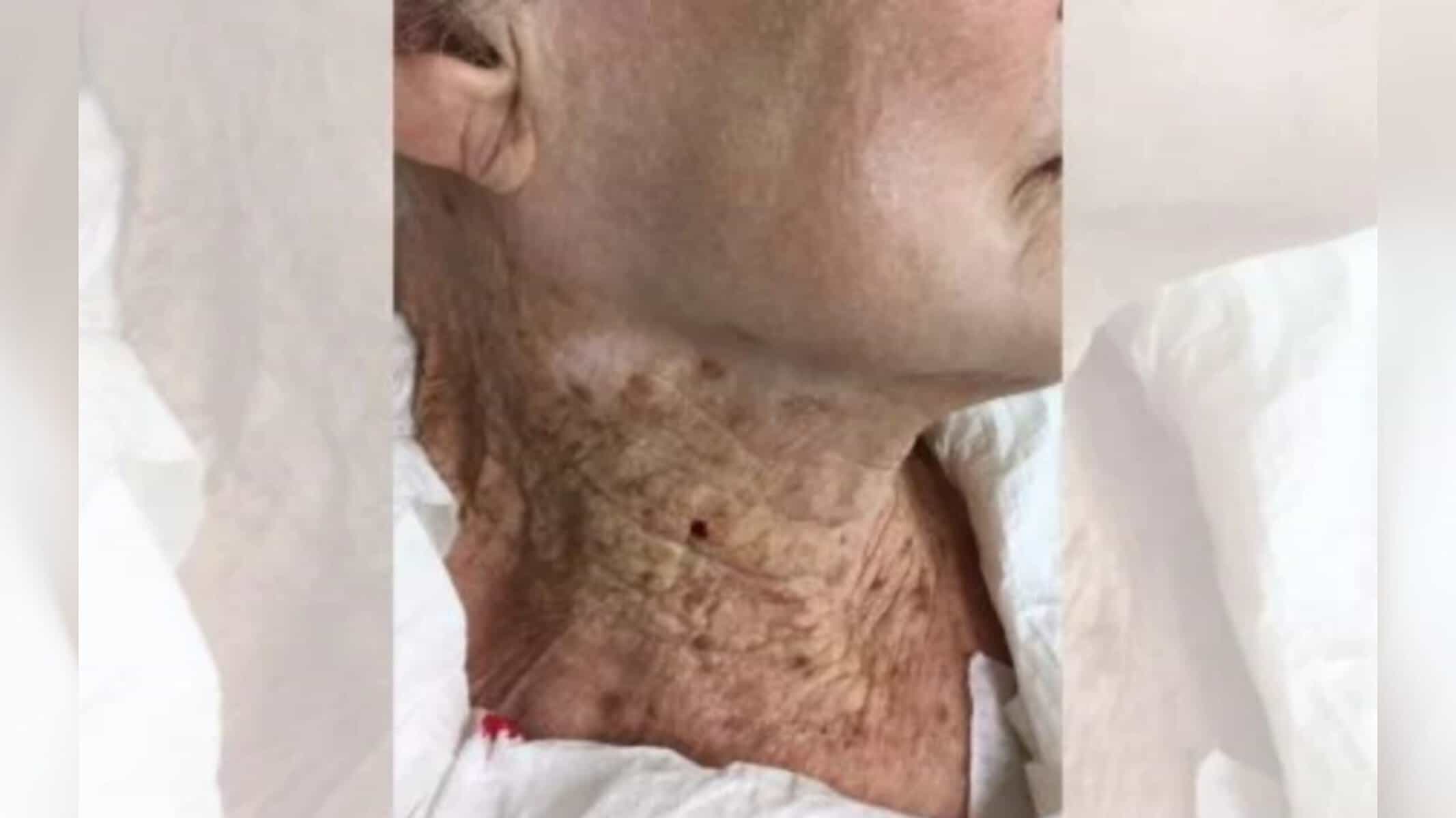 Picsart_22-09-05_18-09-28-398 Universidade Técnica de Munique/ Divulgação