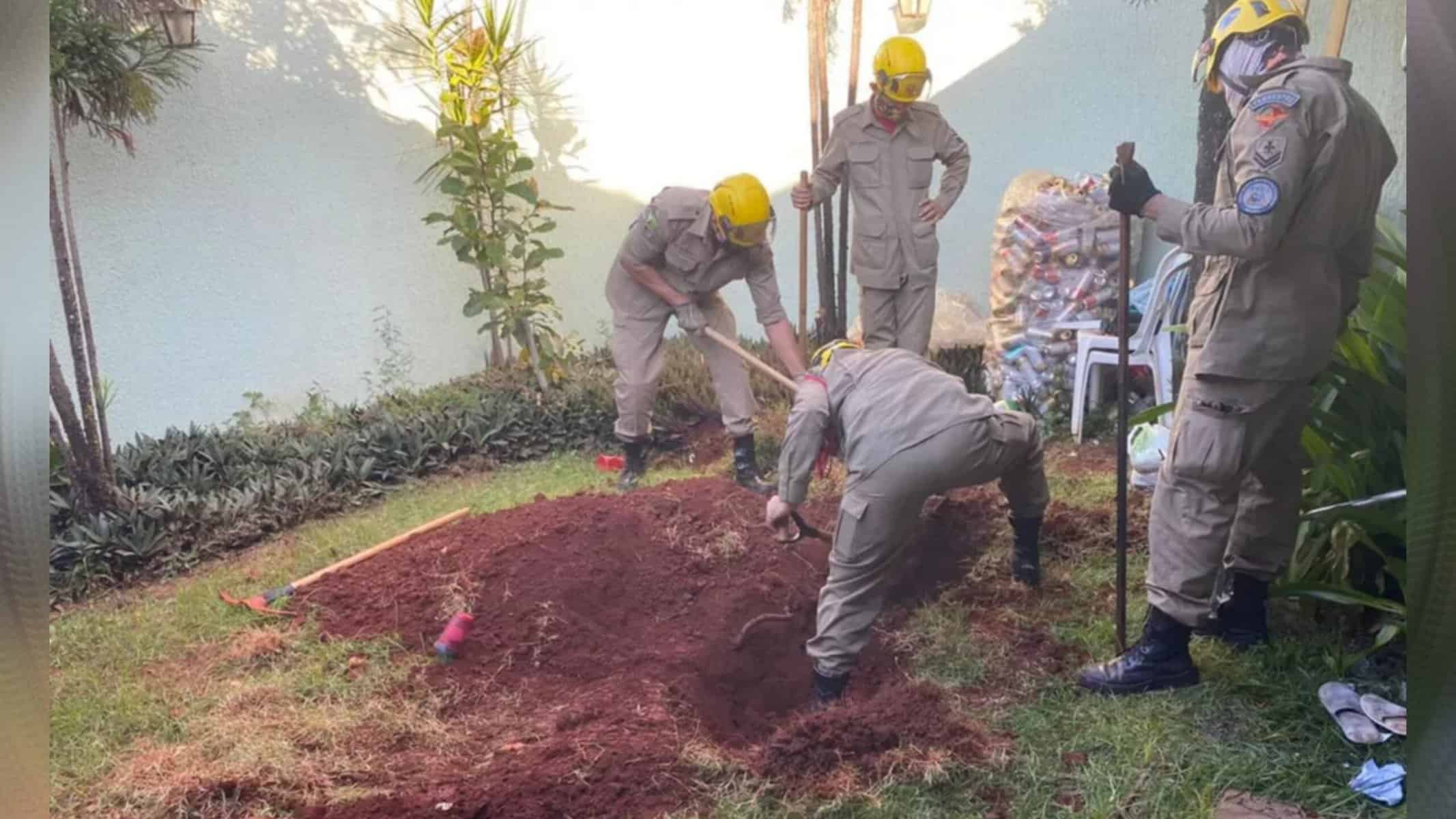 Picsart_22-09-06_19-35-00-950 Mulher confessa ter matado marido e enterrado corpo há 2 anos no jardim de casa, em Goiânia — Foto: Reprodução/TV Anhanguera