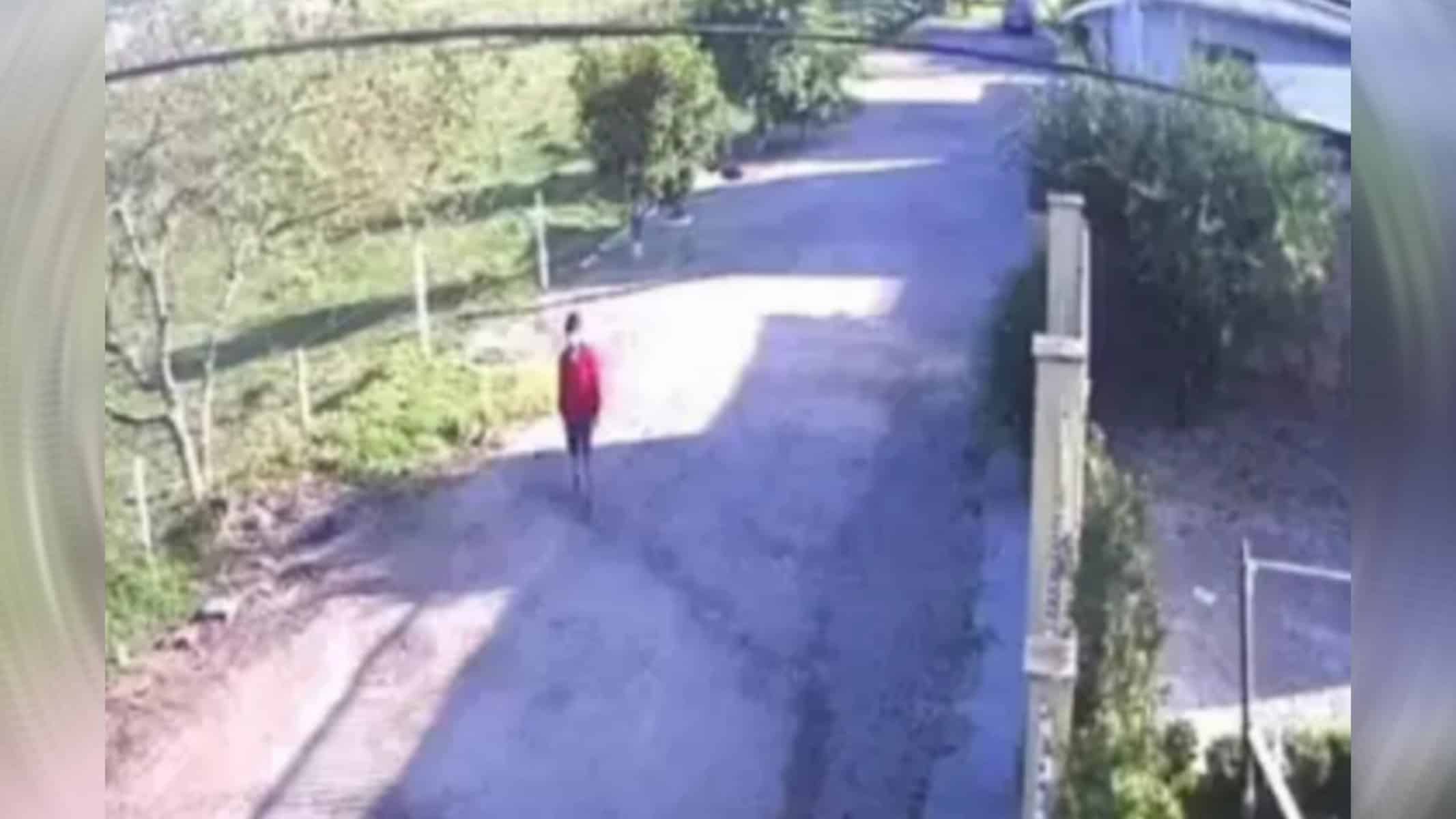 Picsart_22-09-08_17-53-03-866 Foto: Reprodução