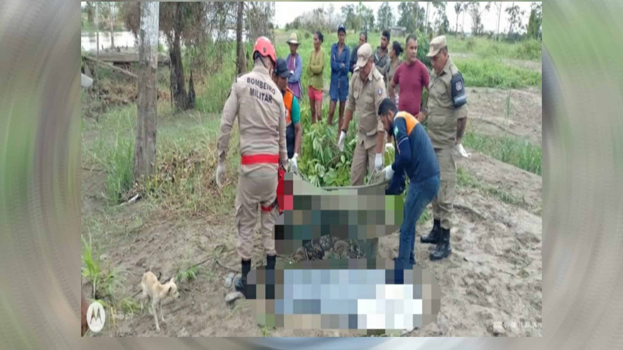 Picsart_22-09-08_21-08-14-865 Após uma forte ventania, uma árvore caiu em cima da rede de energia da localidade. Foto: Reprodução