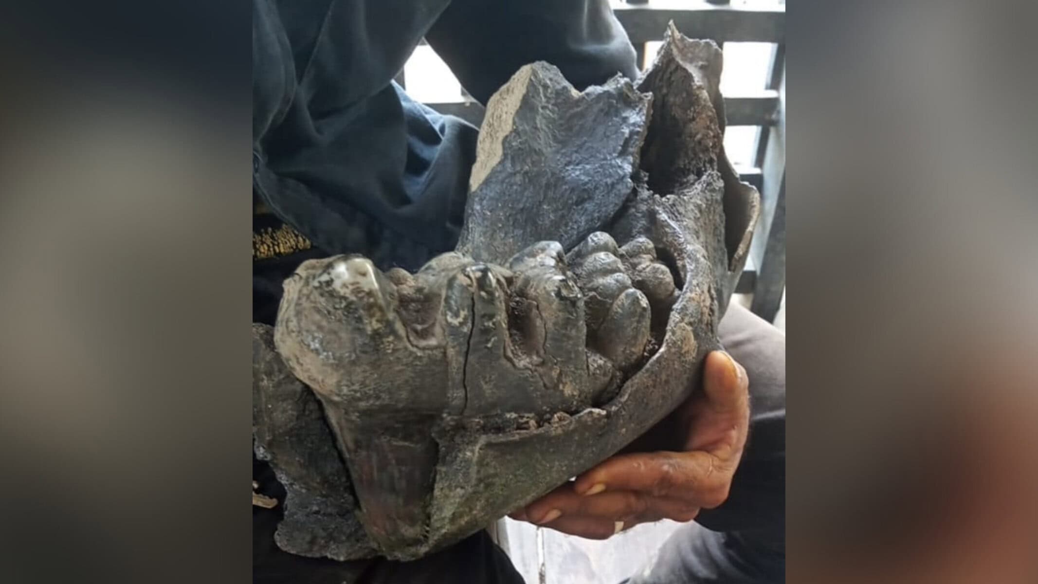 Picsart_22-09-09_11-56-46-855 Picsart_22-09-09_11-56-46-855